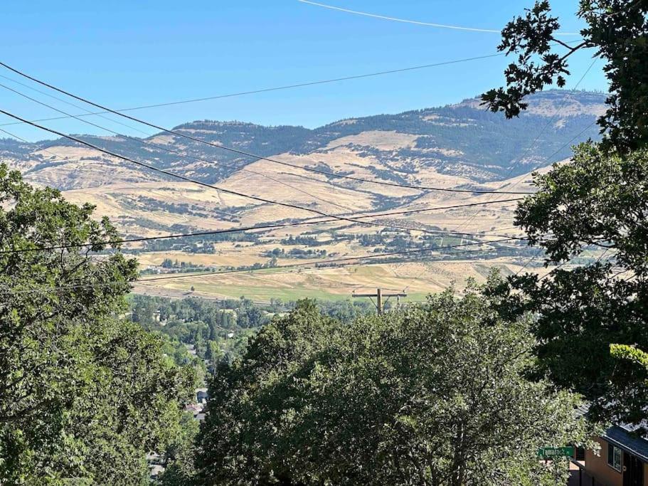 Panoramic Views