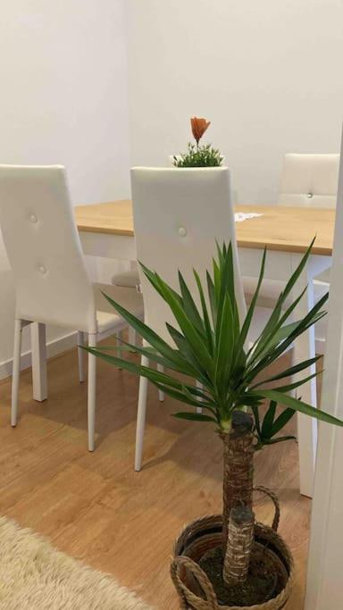 Apartamento en Santander Clave de Sol y Playa
