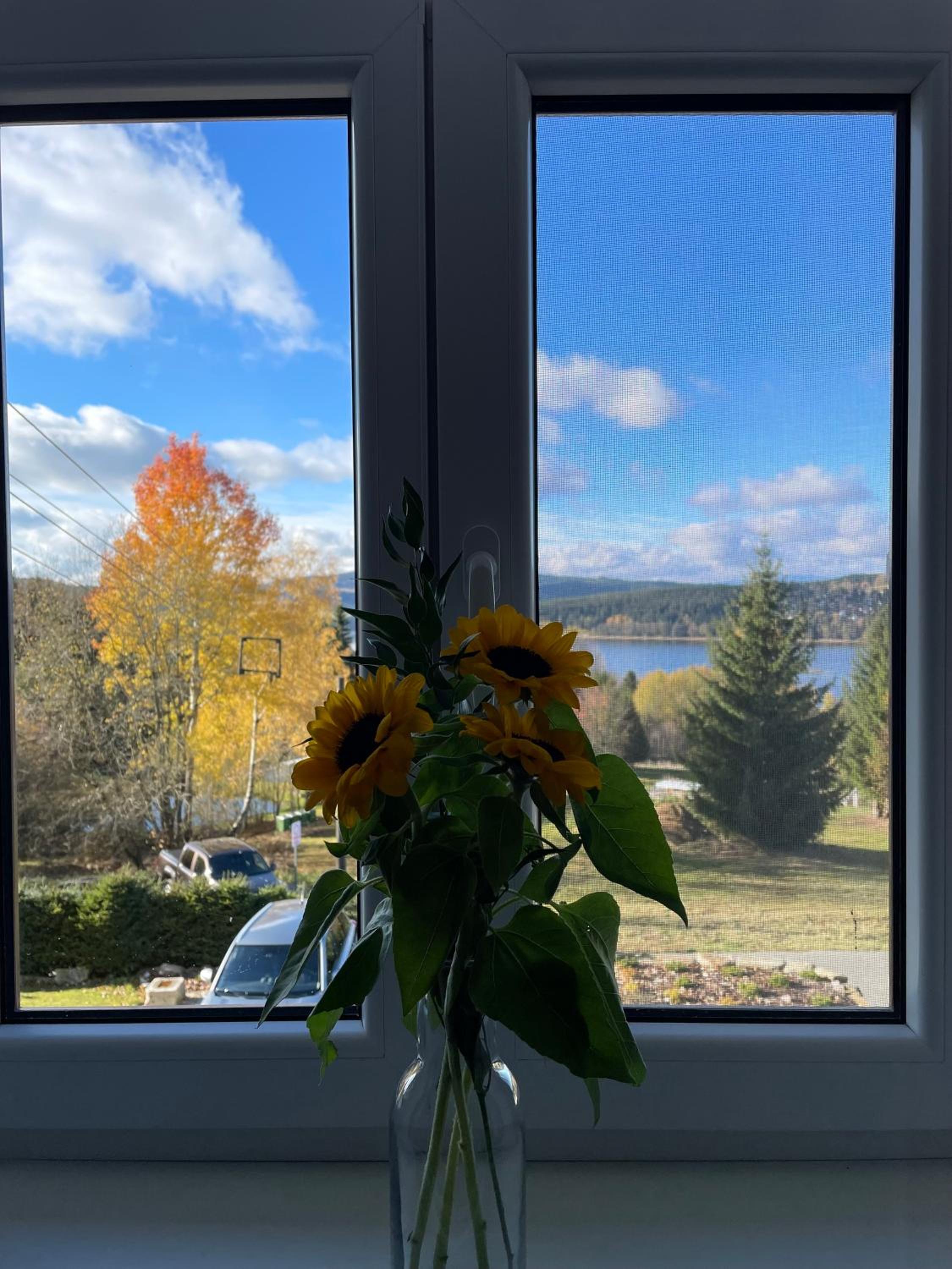 Apartmány HÁJOVNA Lipno