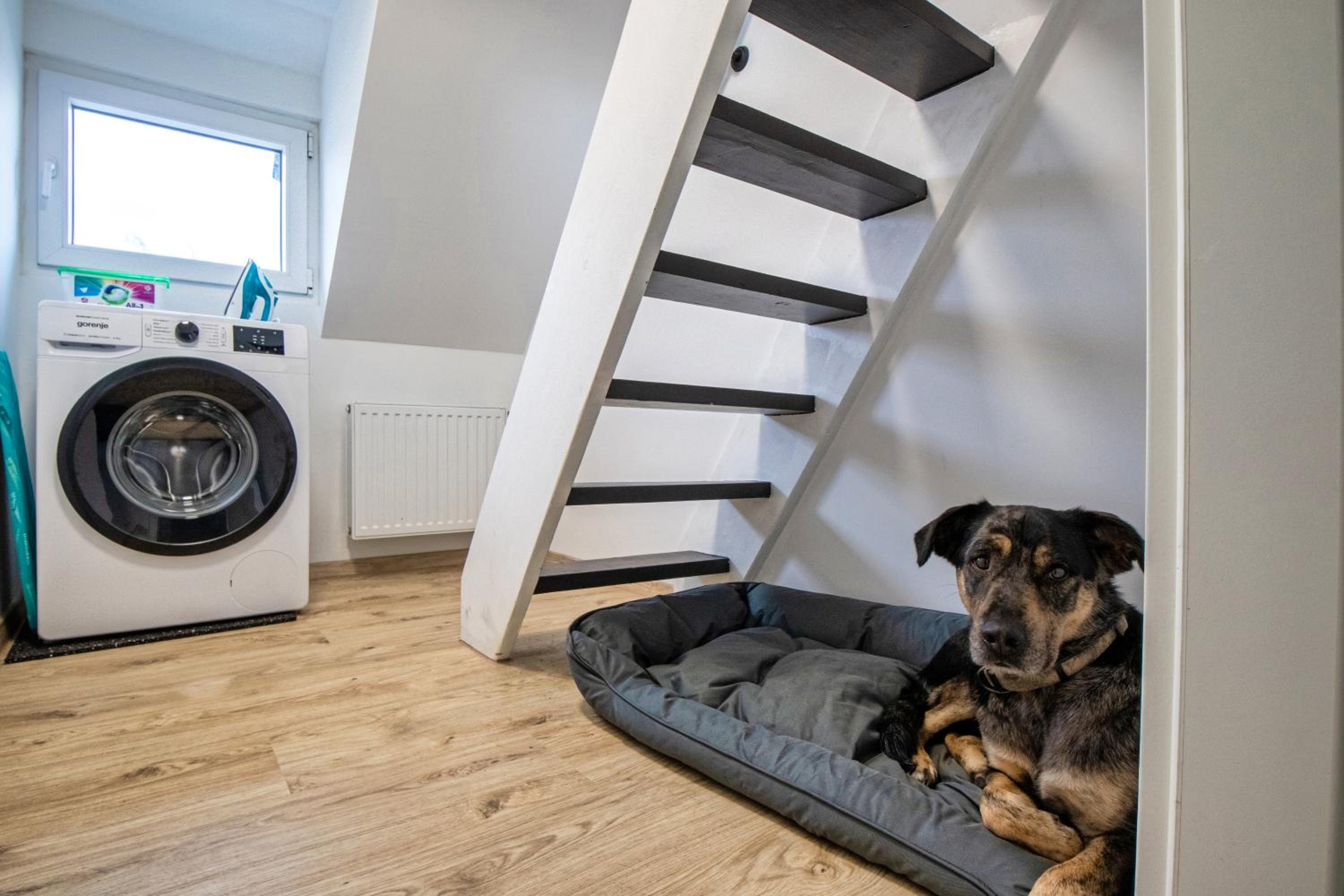 110 qm Penthousewohnung bei Bonn / Köln