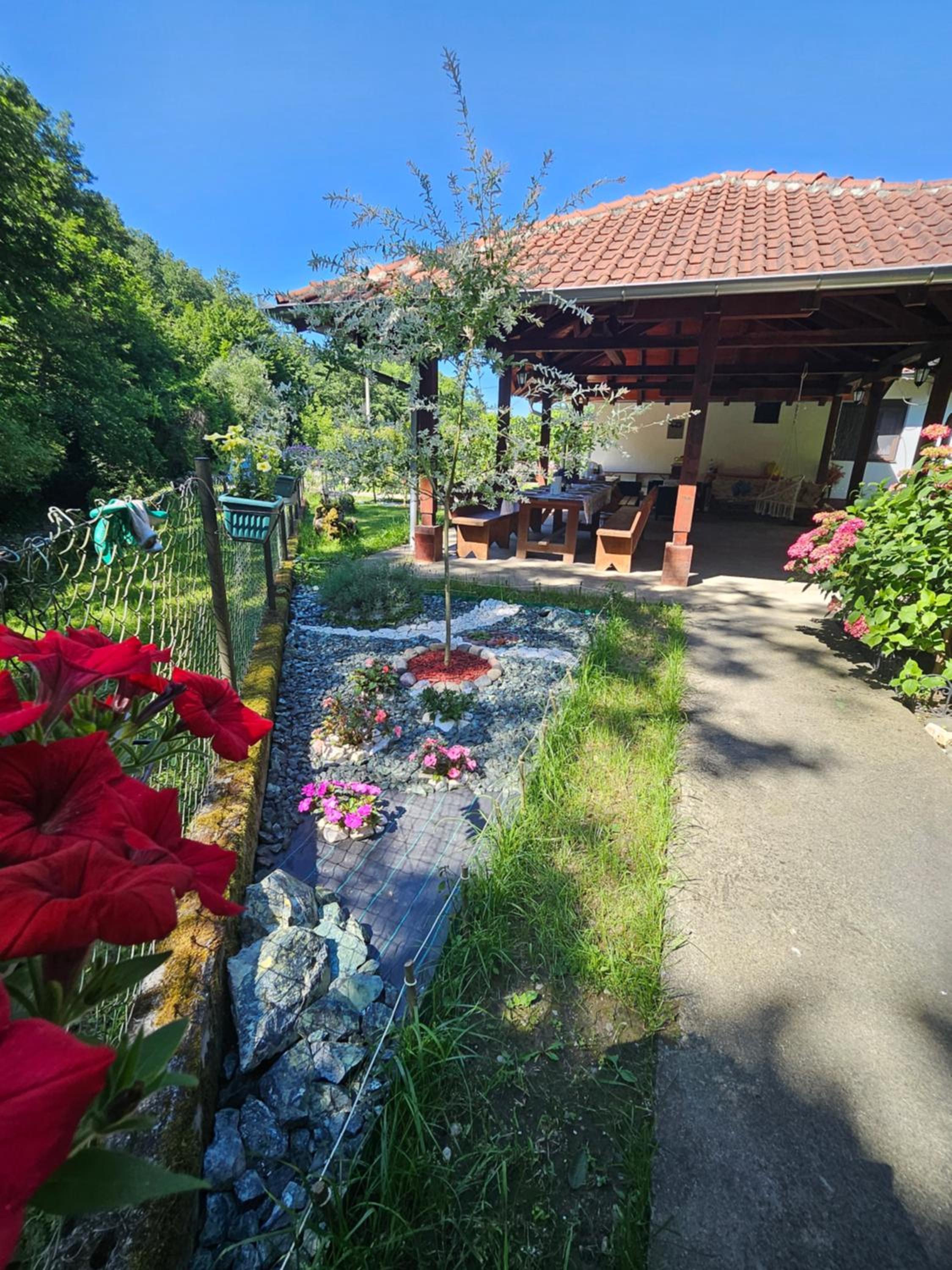 Vitez Koja