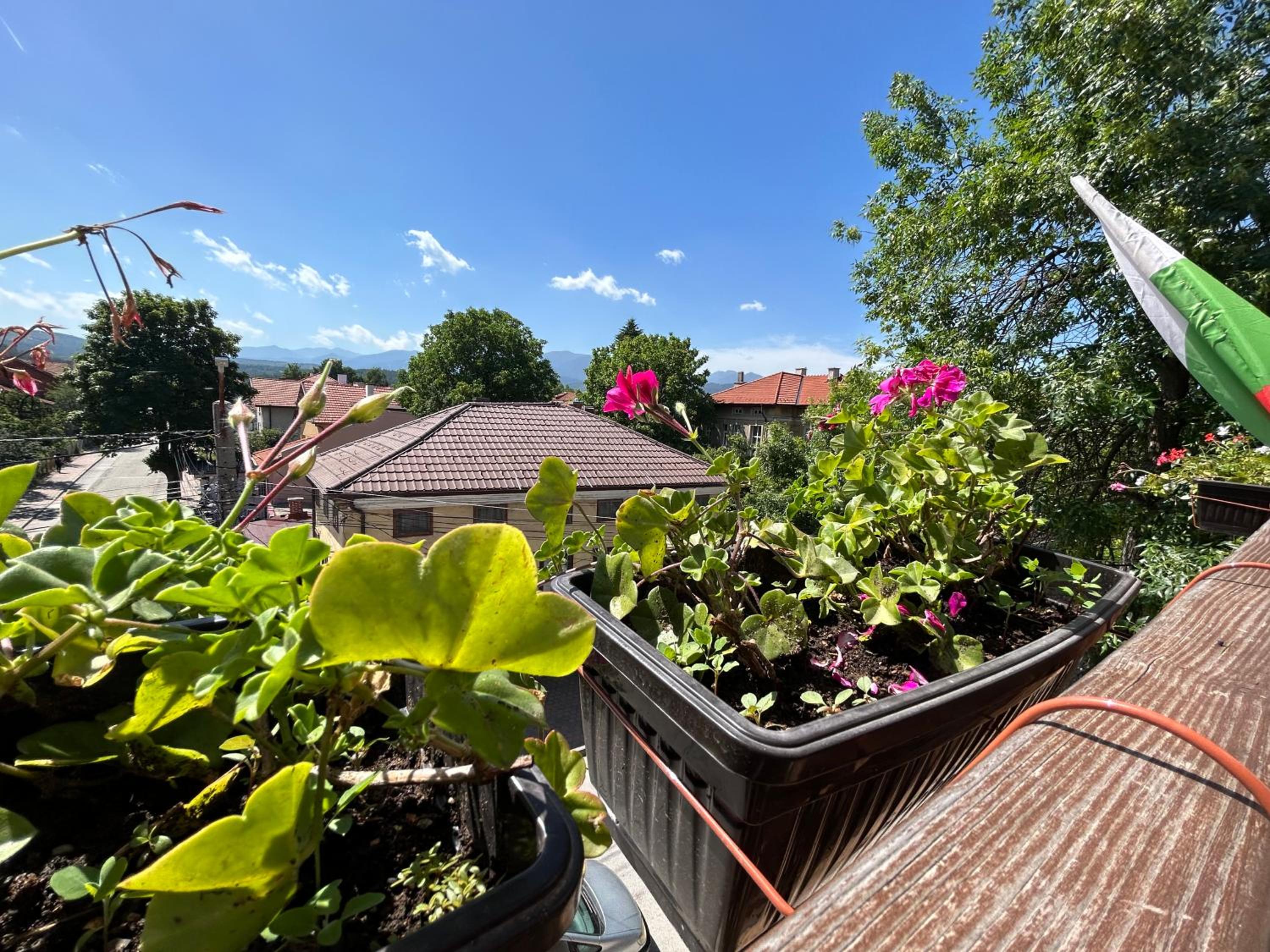Guest house Legeto