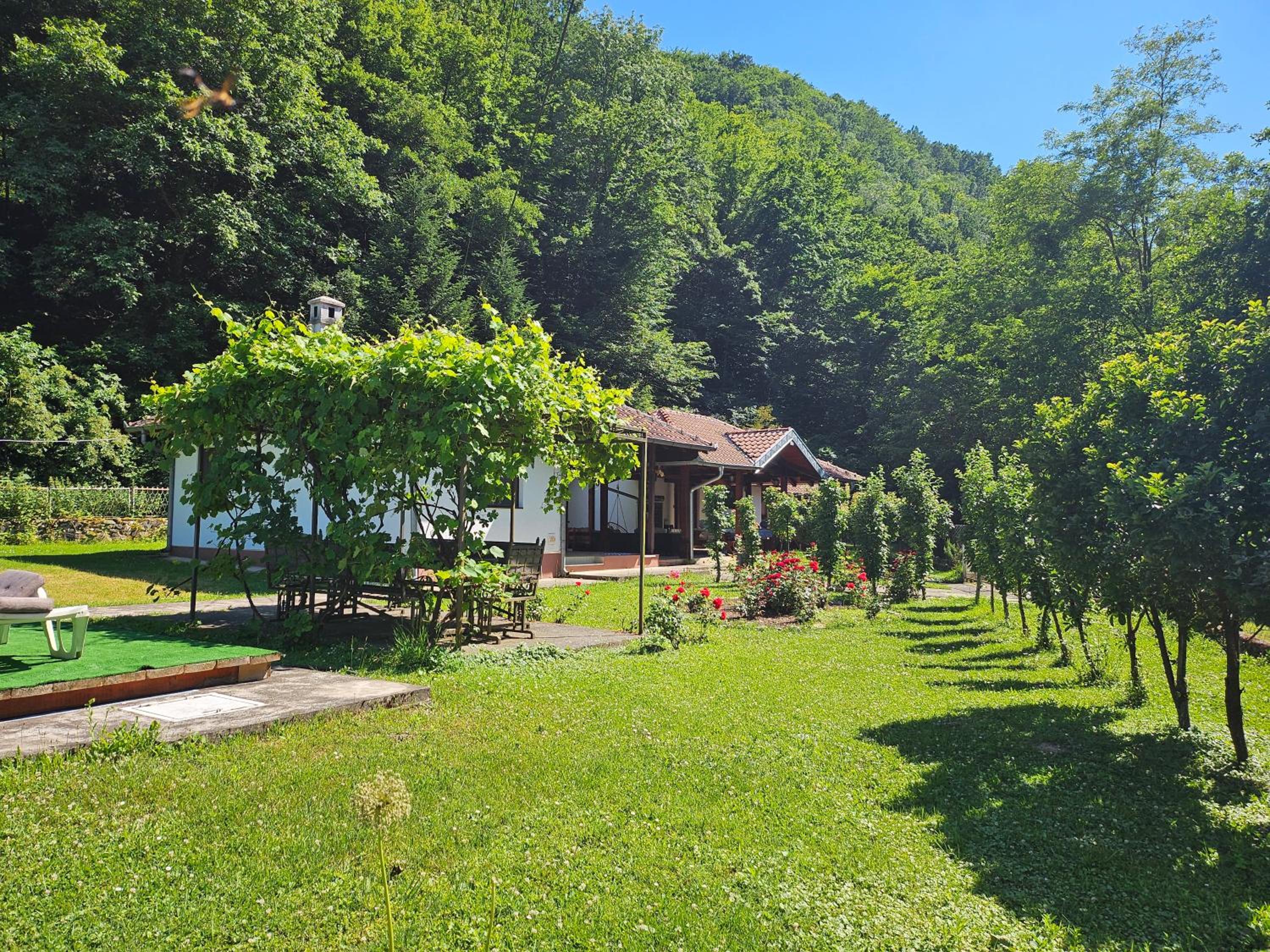 Vitez Koja