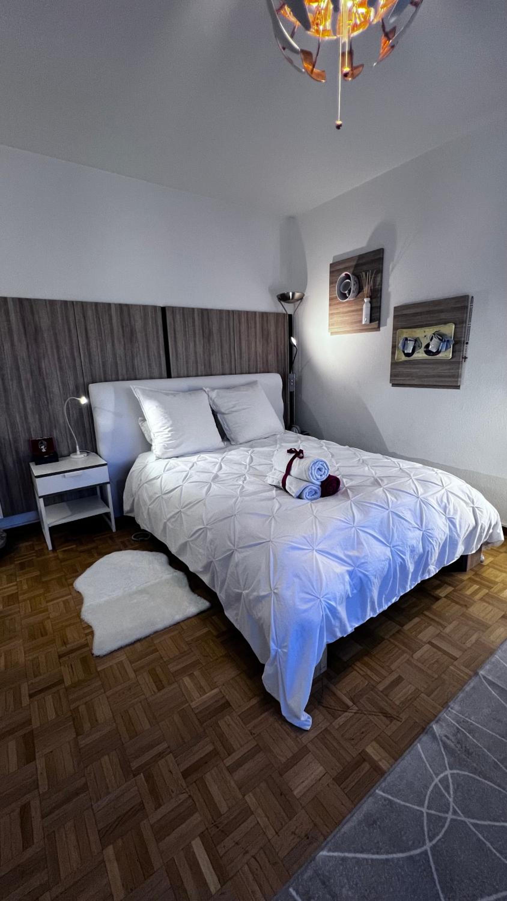 Appartement 1,5 Genève Lac