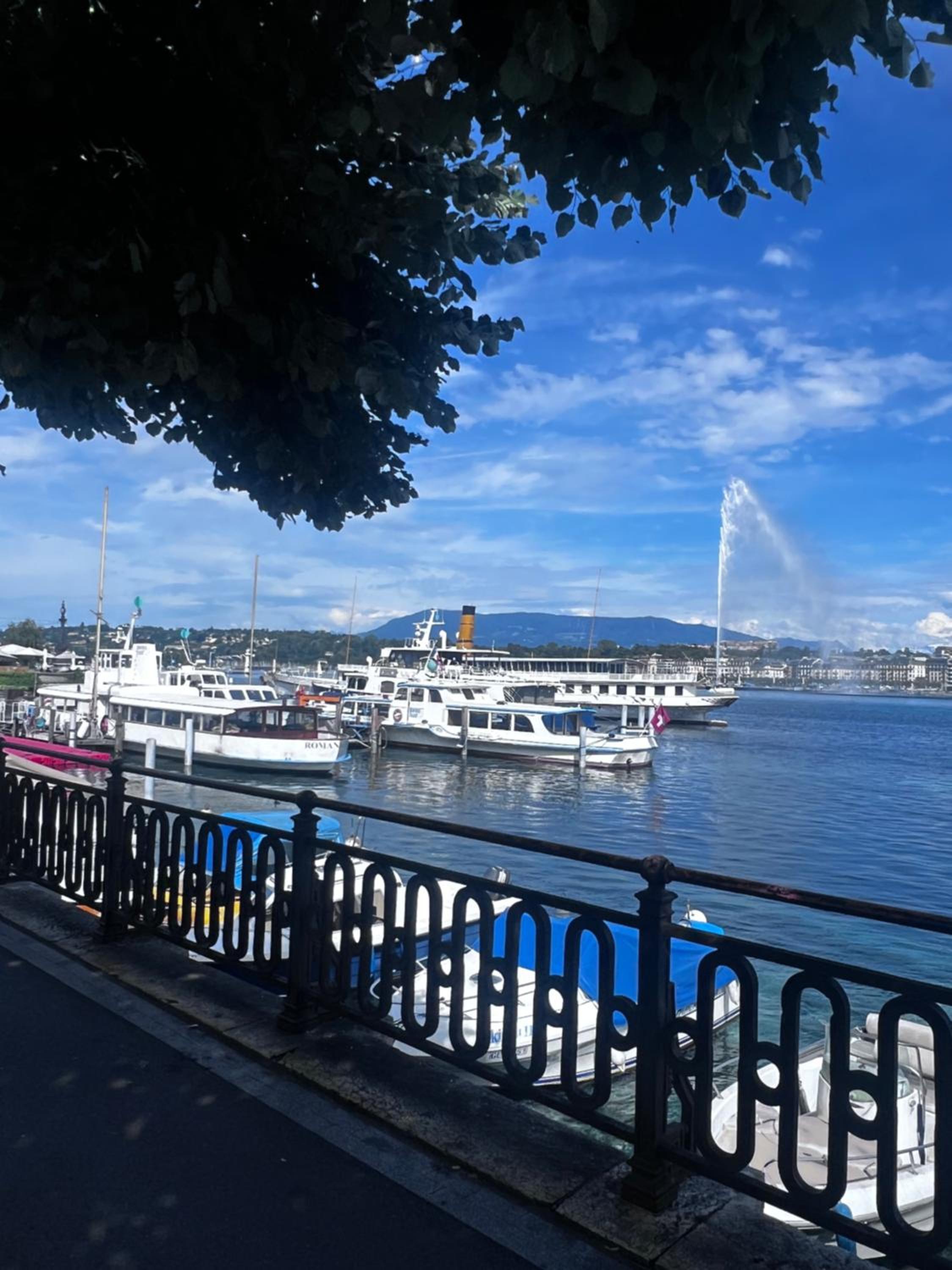 Appartement 1,5 Genève Lac
