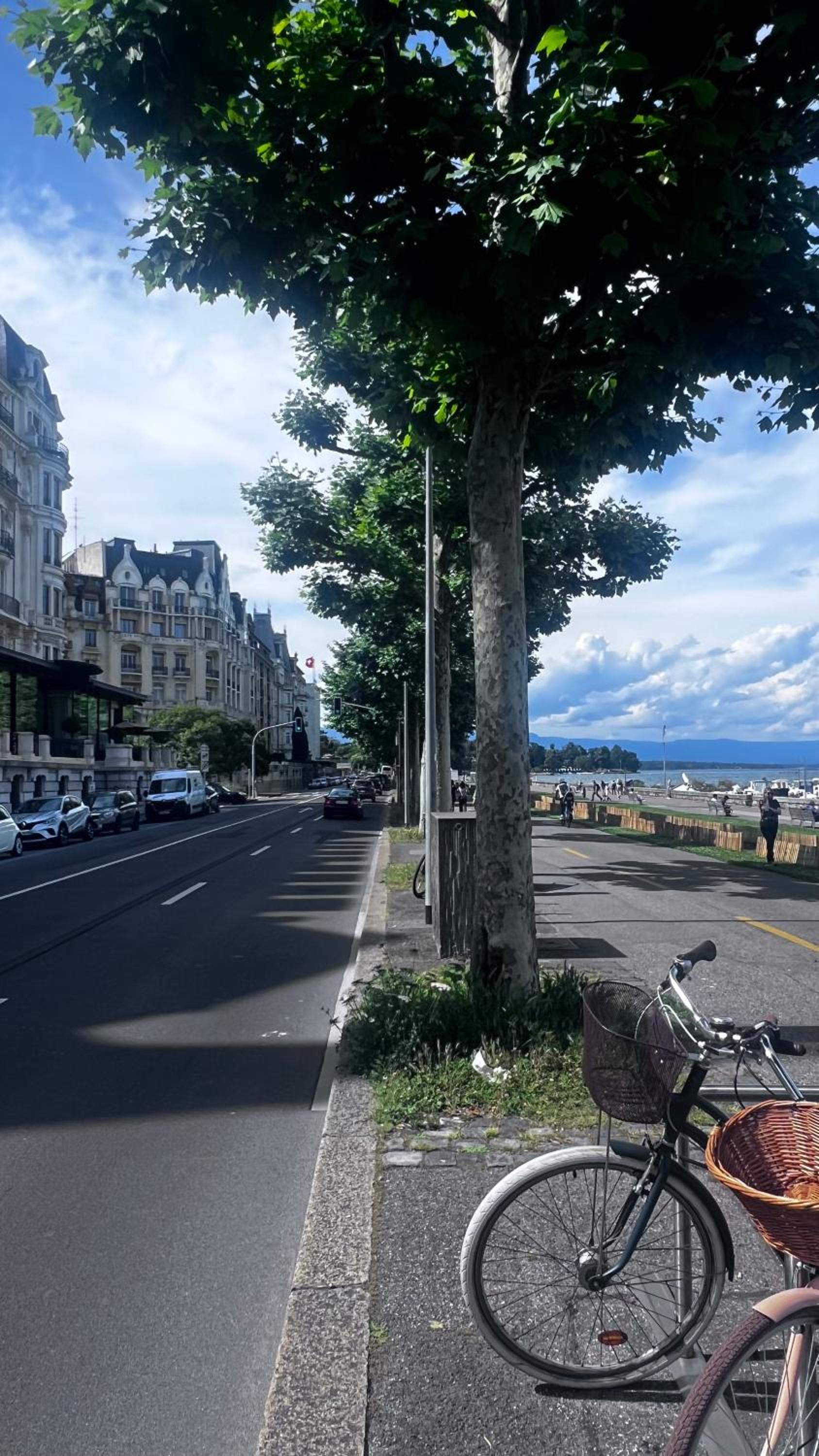 Appartement 1,5 Genève Lac