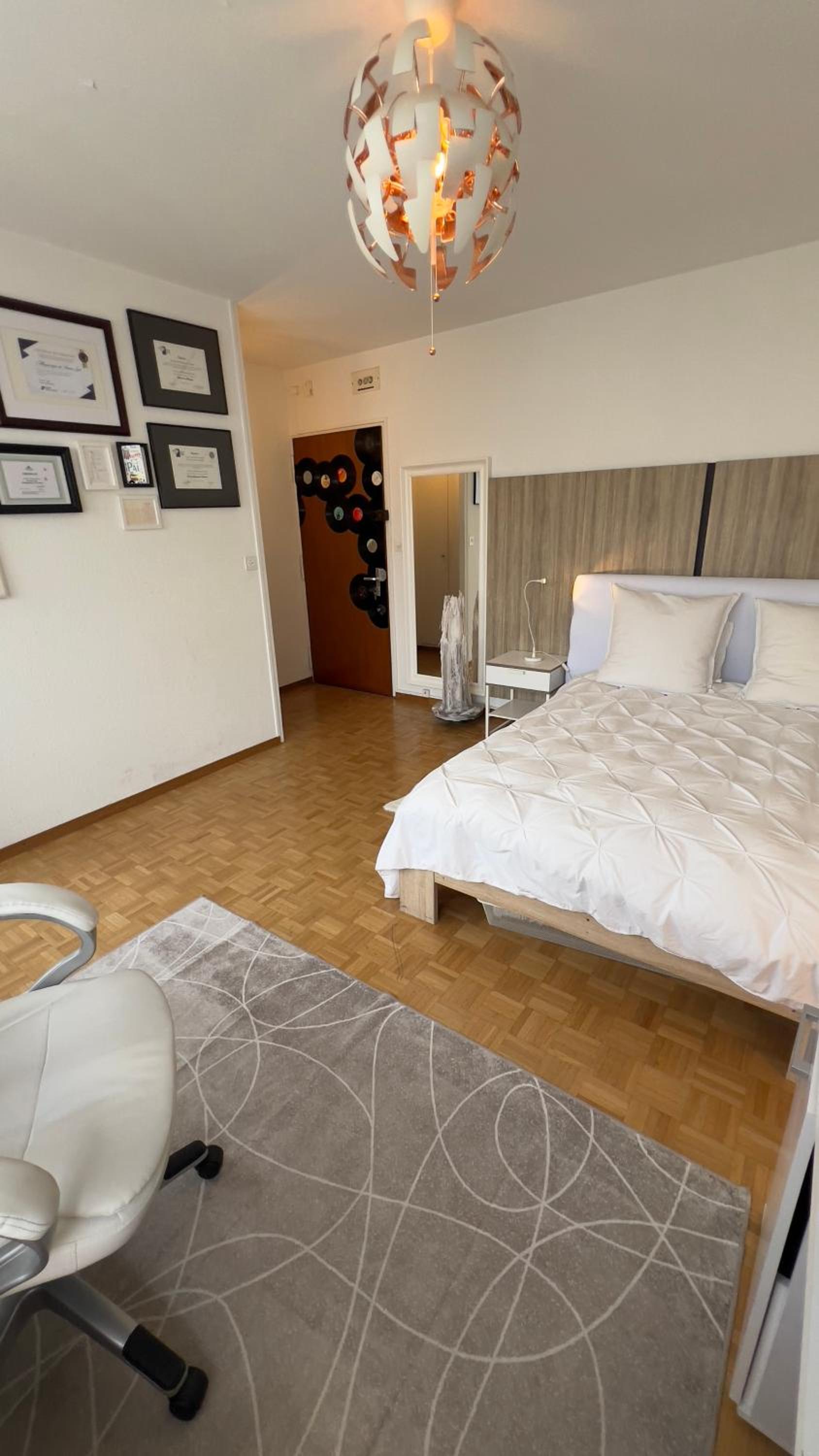 Appartement 1,5 Genève Lac