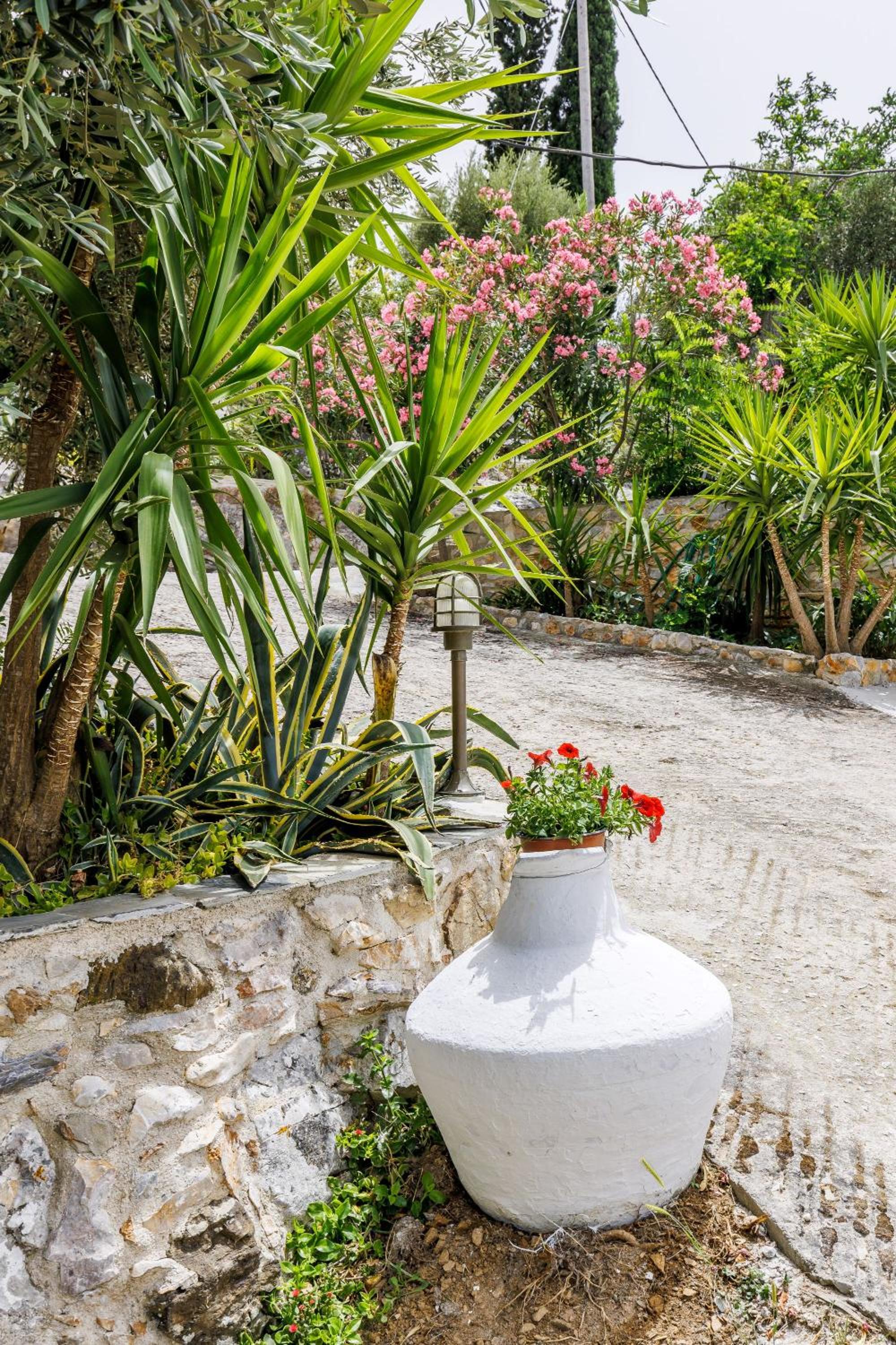 Skopelos Sunset traditional country house