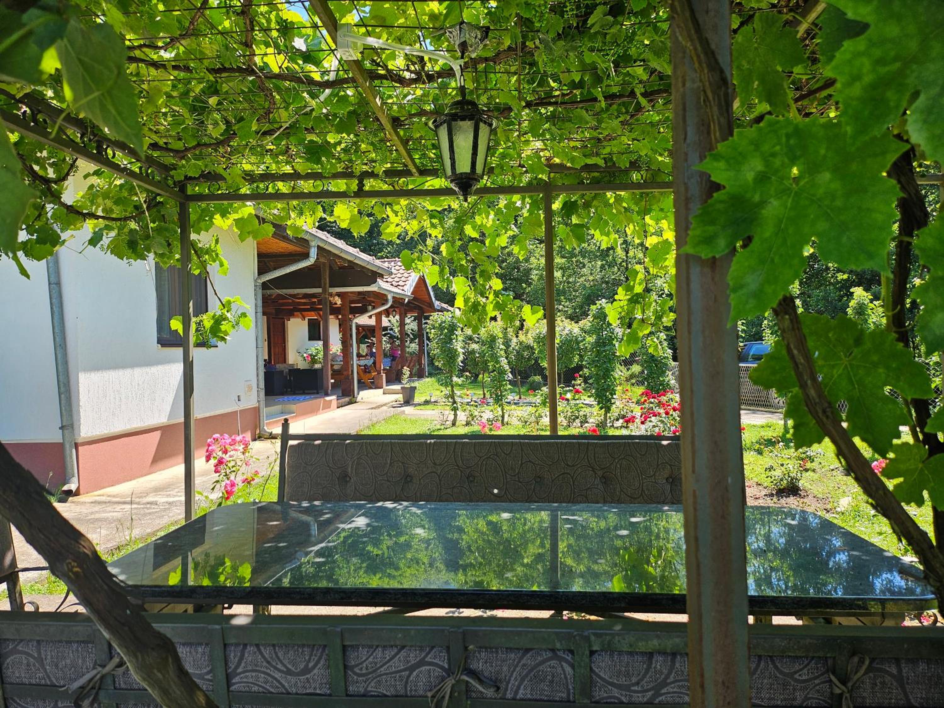 Vitez Koja