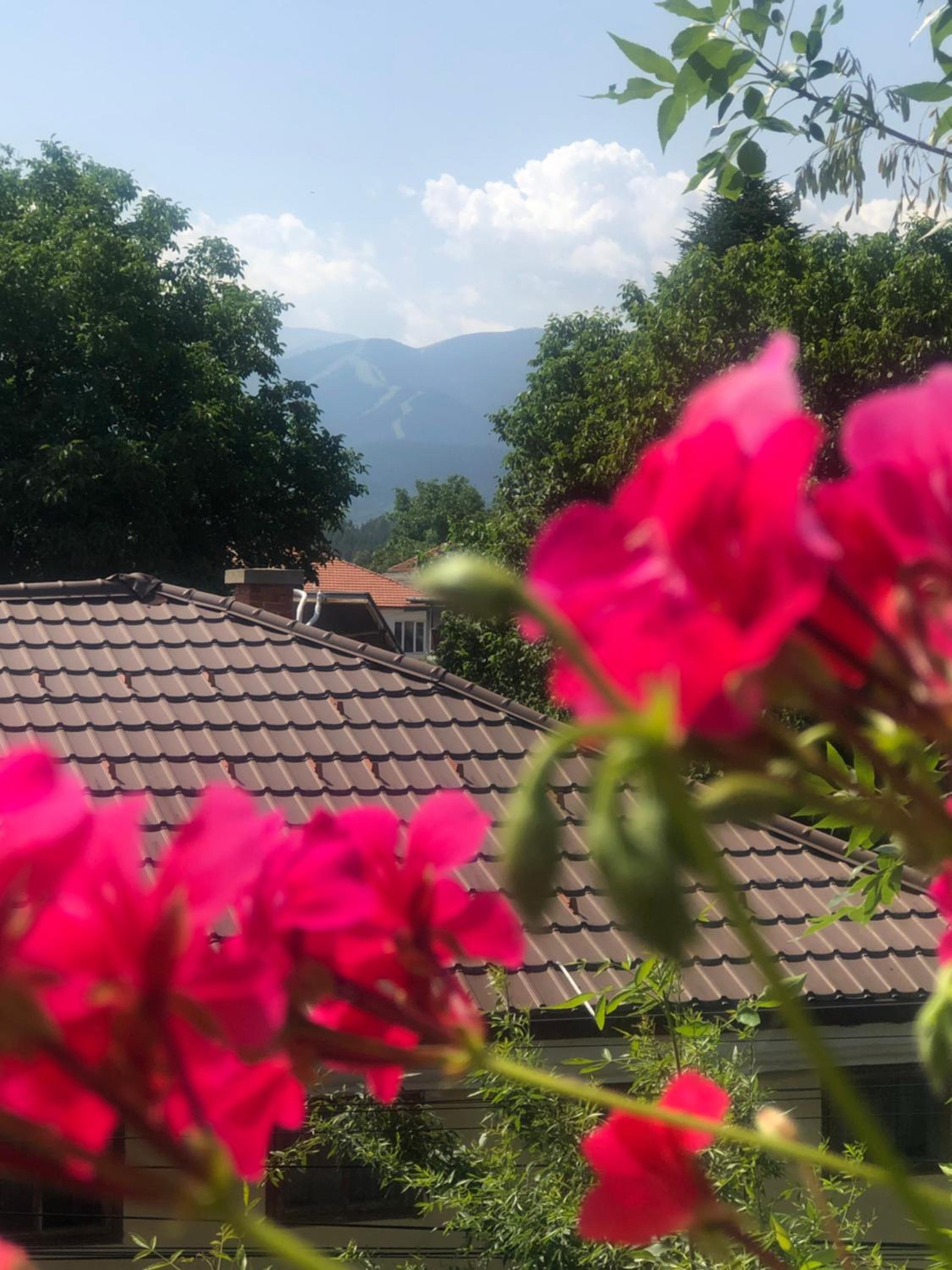 Guest house Legeto