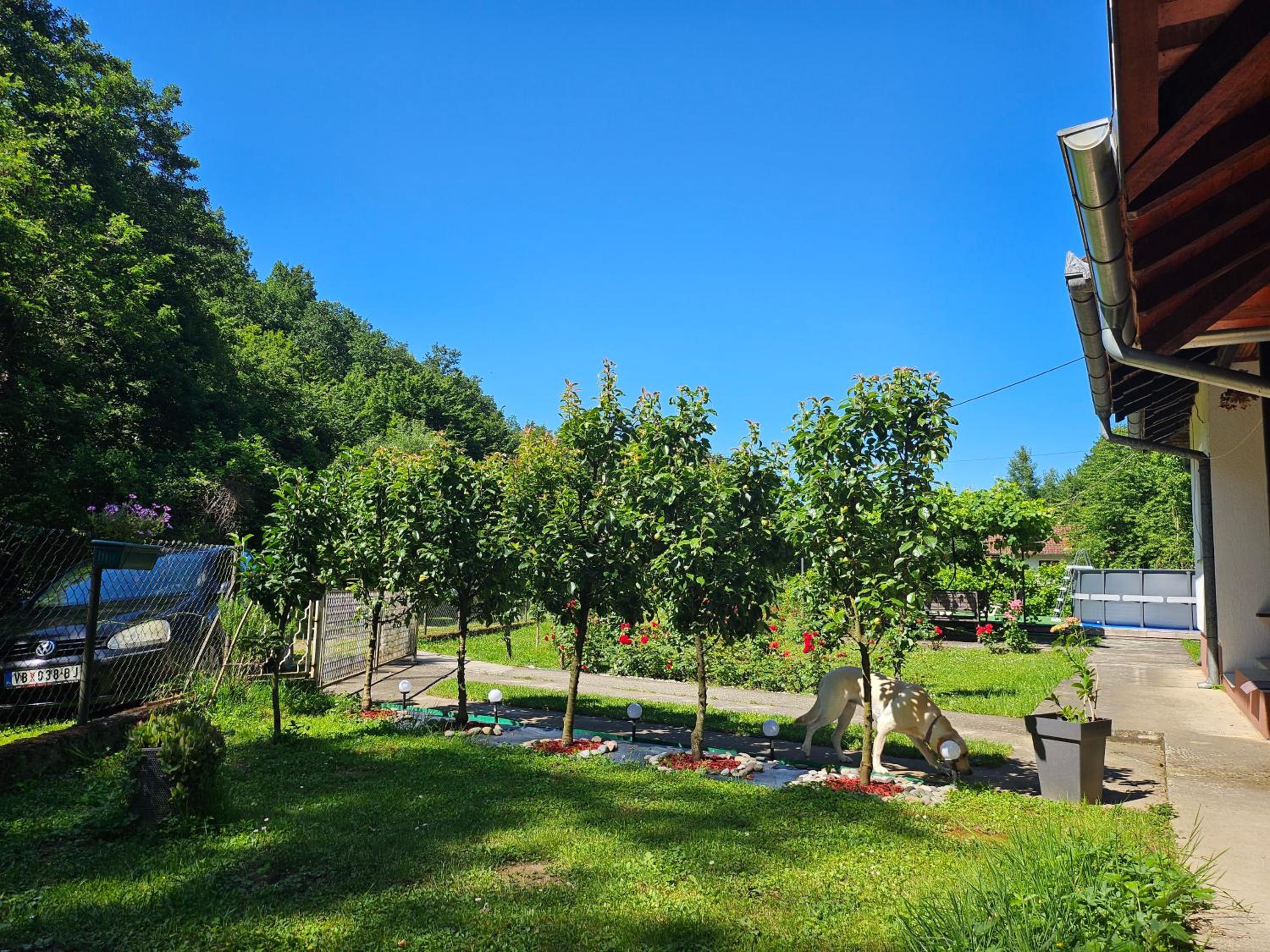Vitez Koja