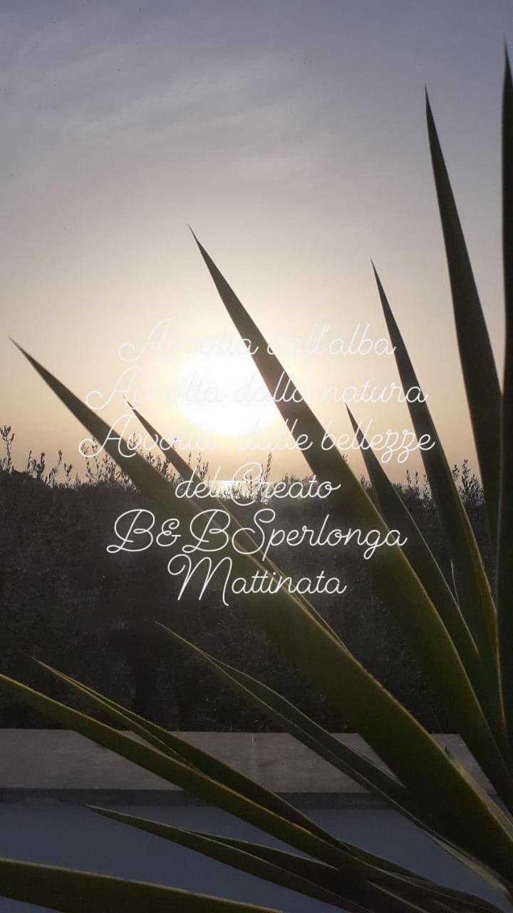 B&B Sperlonga, photo 35