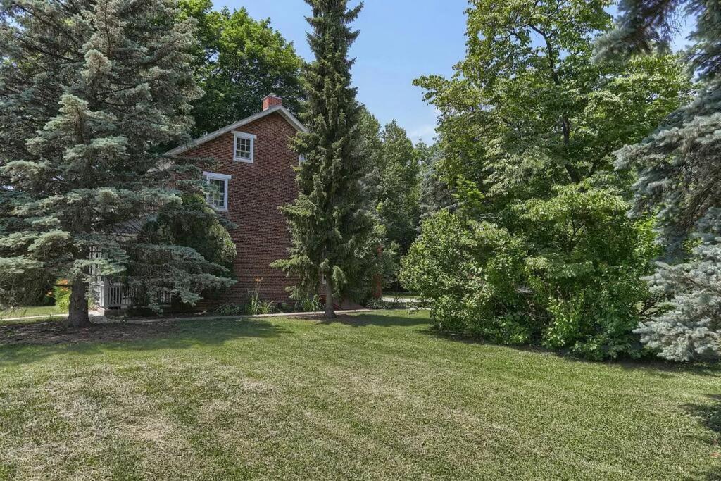The Hidden Homestead