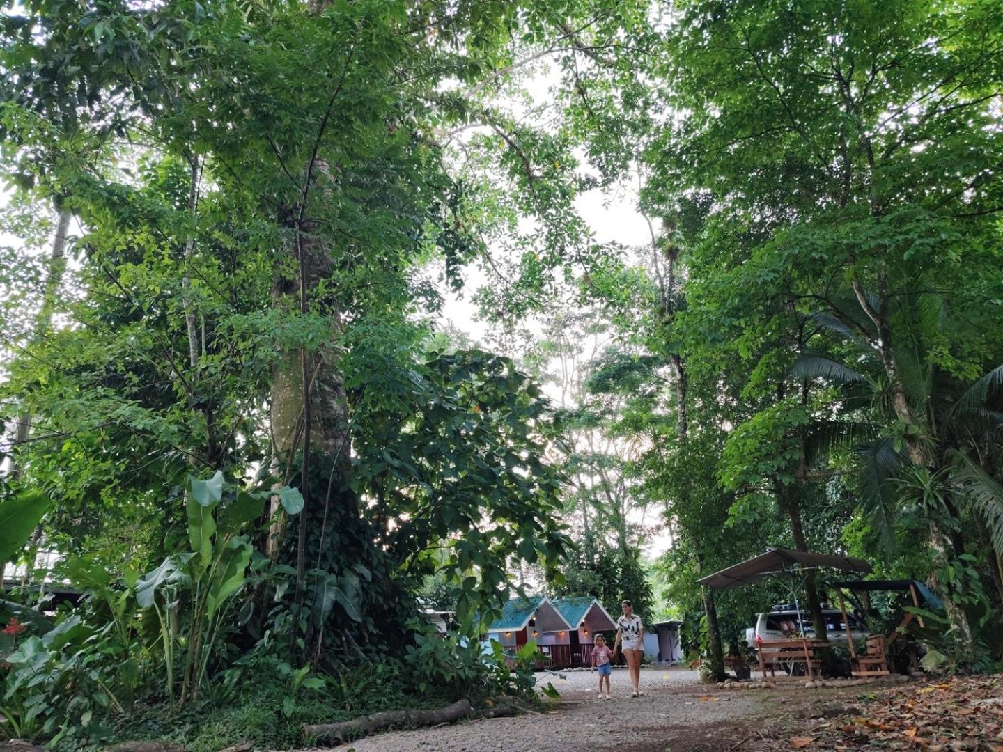Sarapiqui Stay