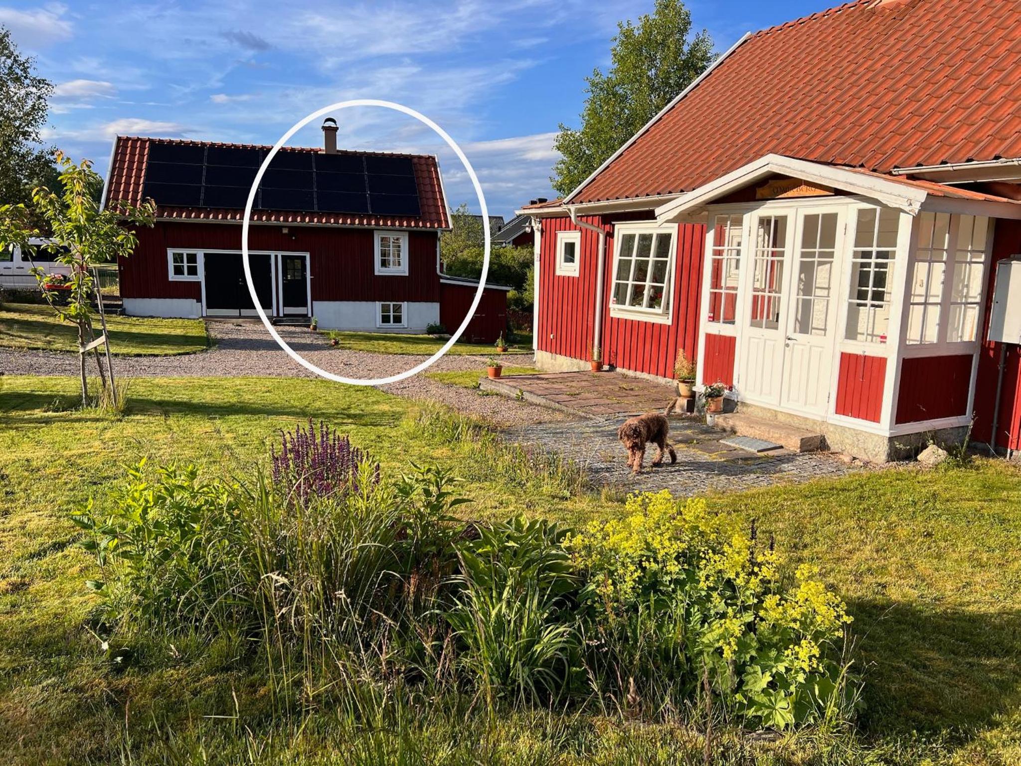 The Nest view 2