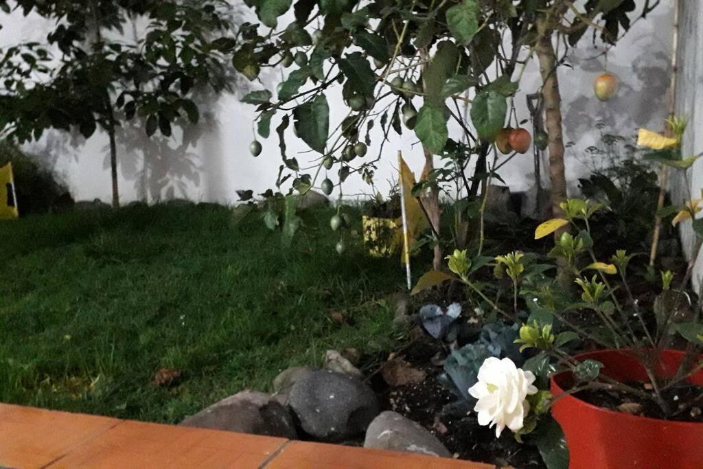 Departamento Monay 1