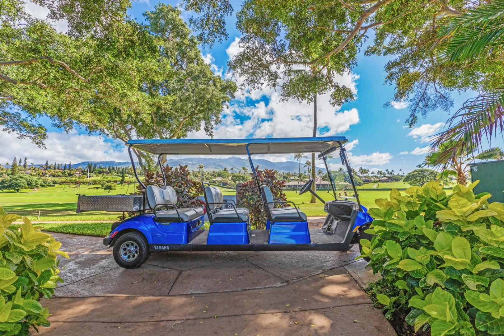 activities & amenities
