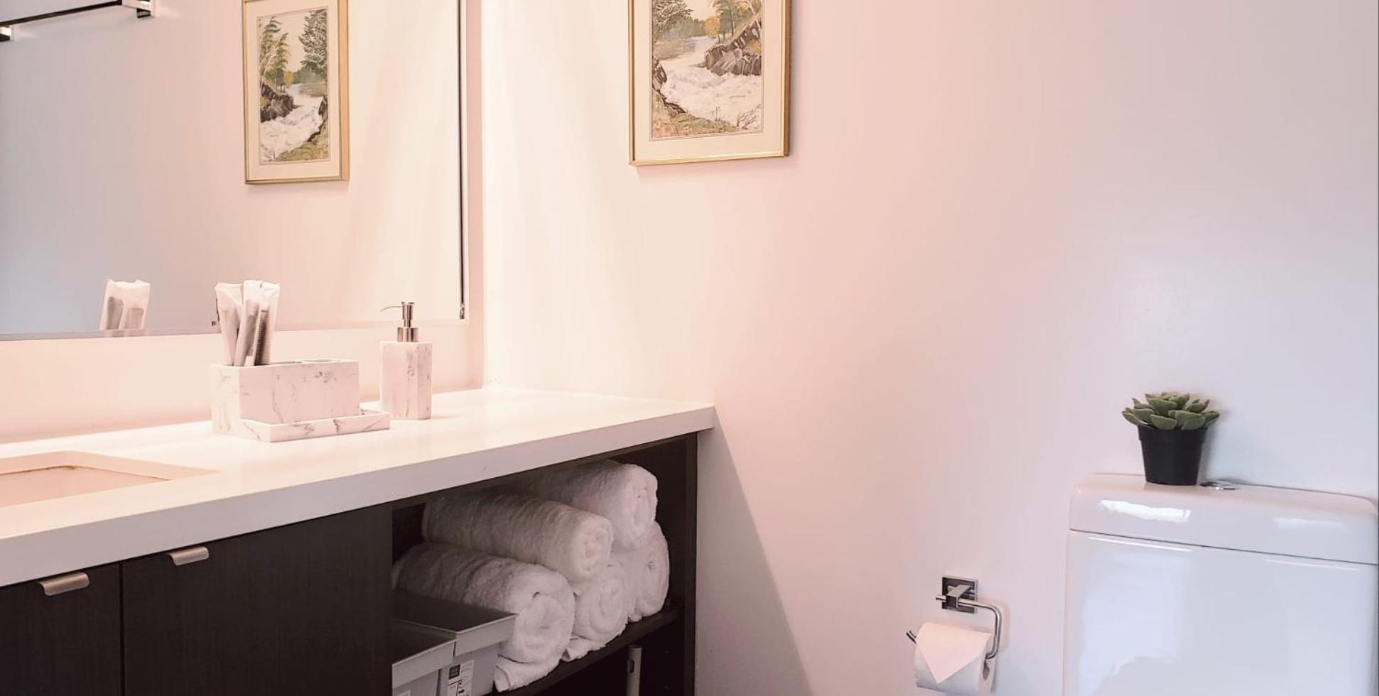 Elegant 2BR & 2BA Retreat in Prime Yorkville, Downtown