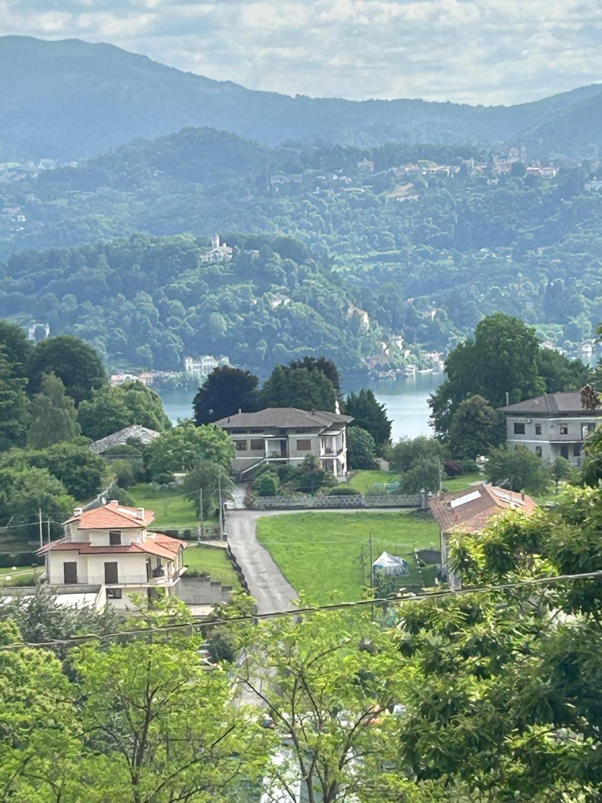 L Arcolaio