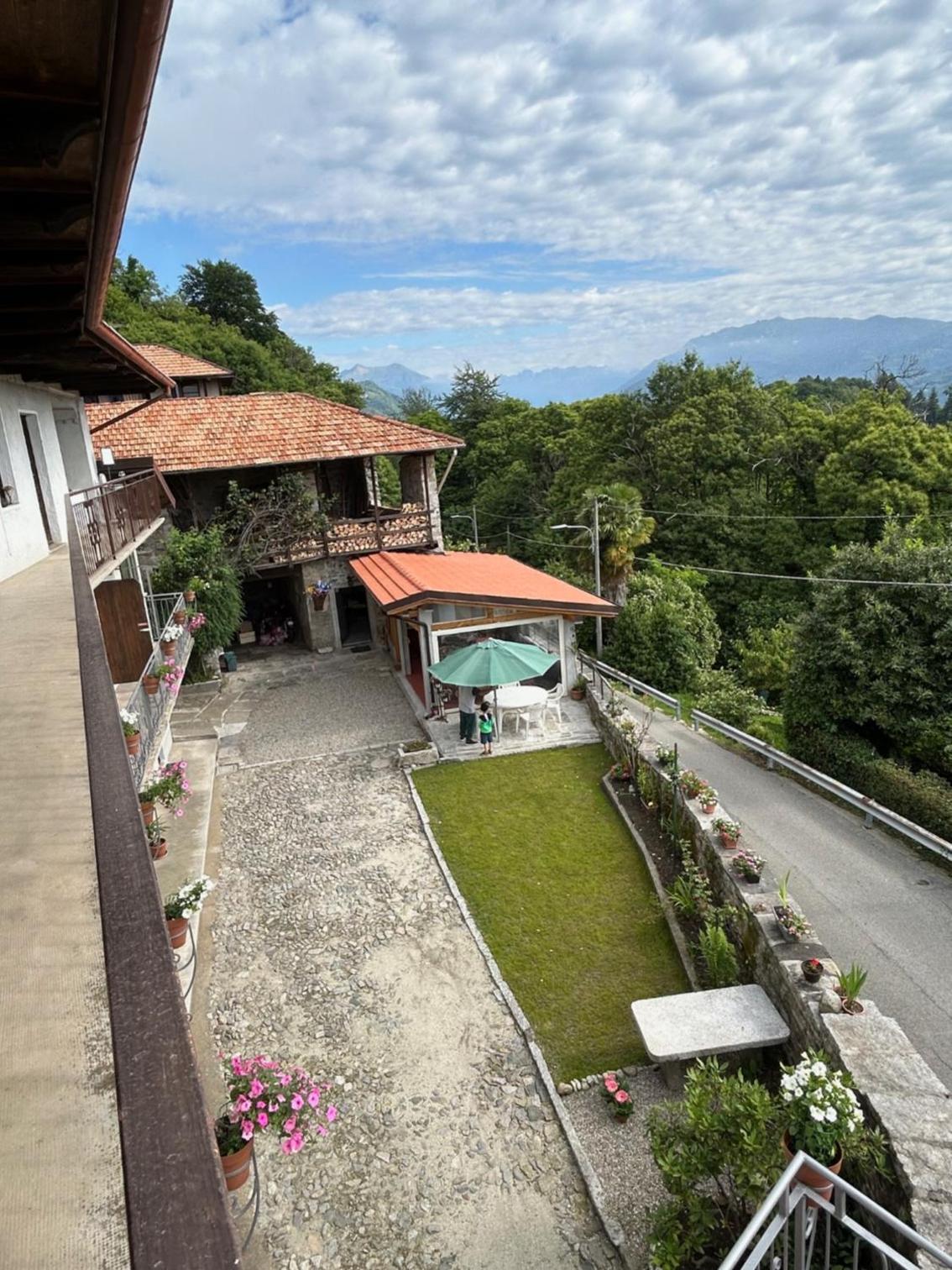 L Arcolaio