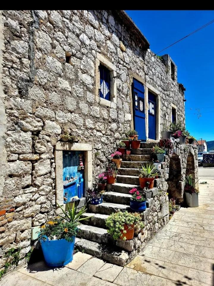 Apartman Luca