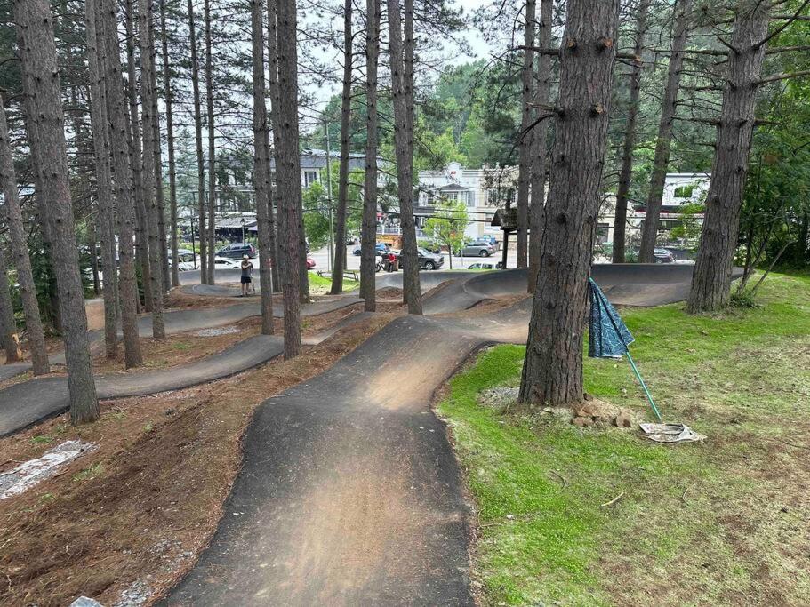 Pet Friendly Mountain Retreat - Up to 14 Guests!