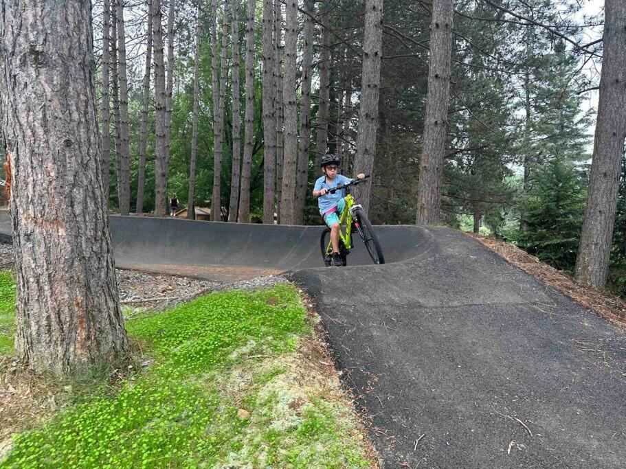 Pet Friendly Mountain Retreat - Up to 14 Guests!