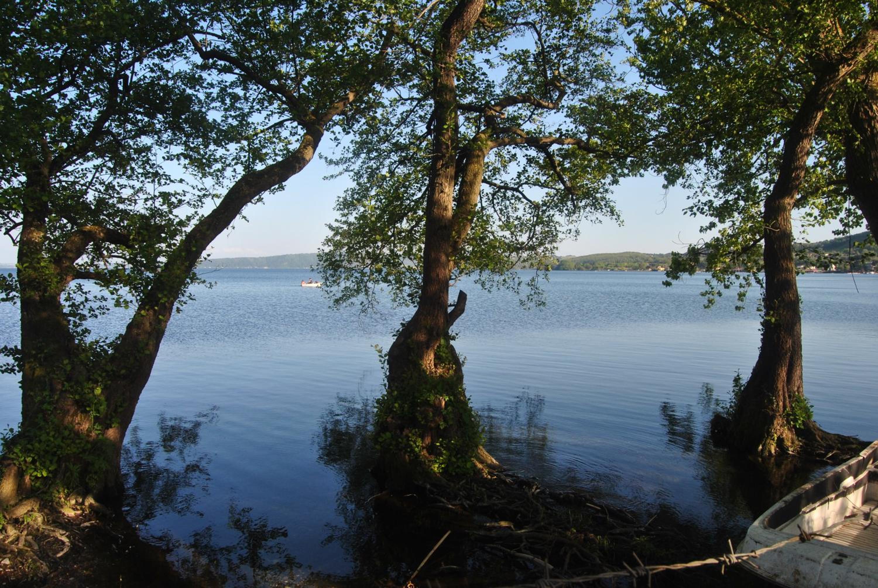 Photo 46
