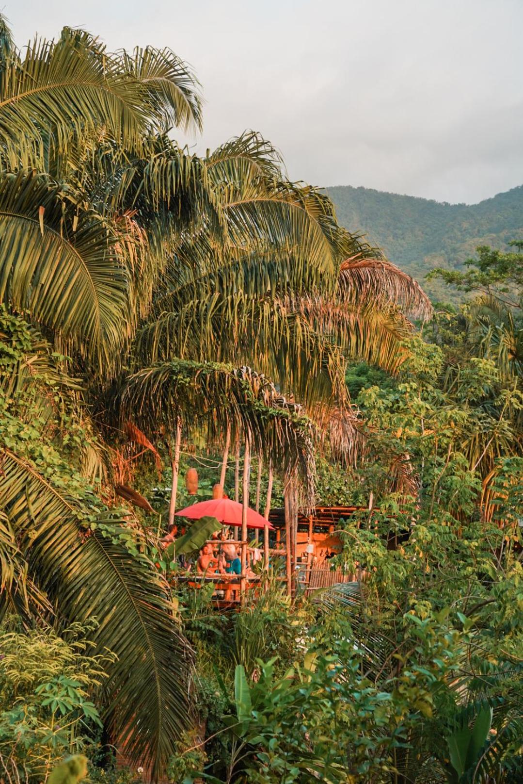 The Valley Tayrona hostel- A social jungle hostel