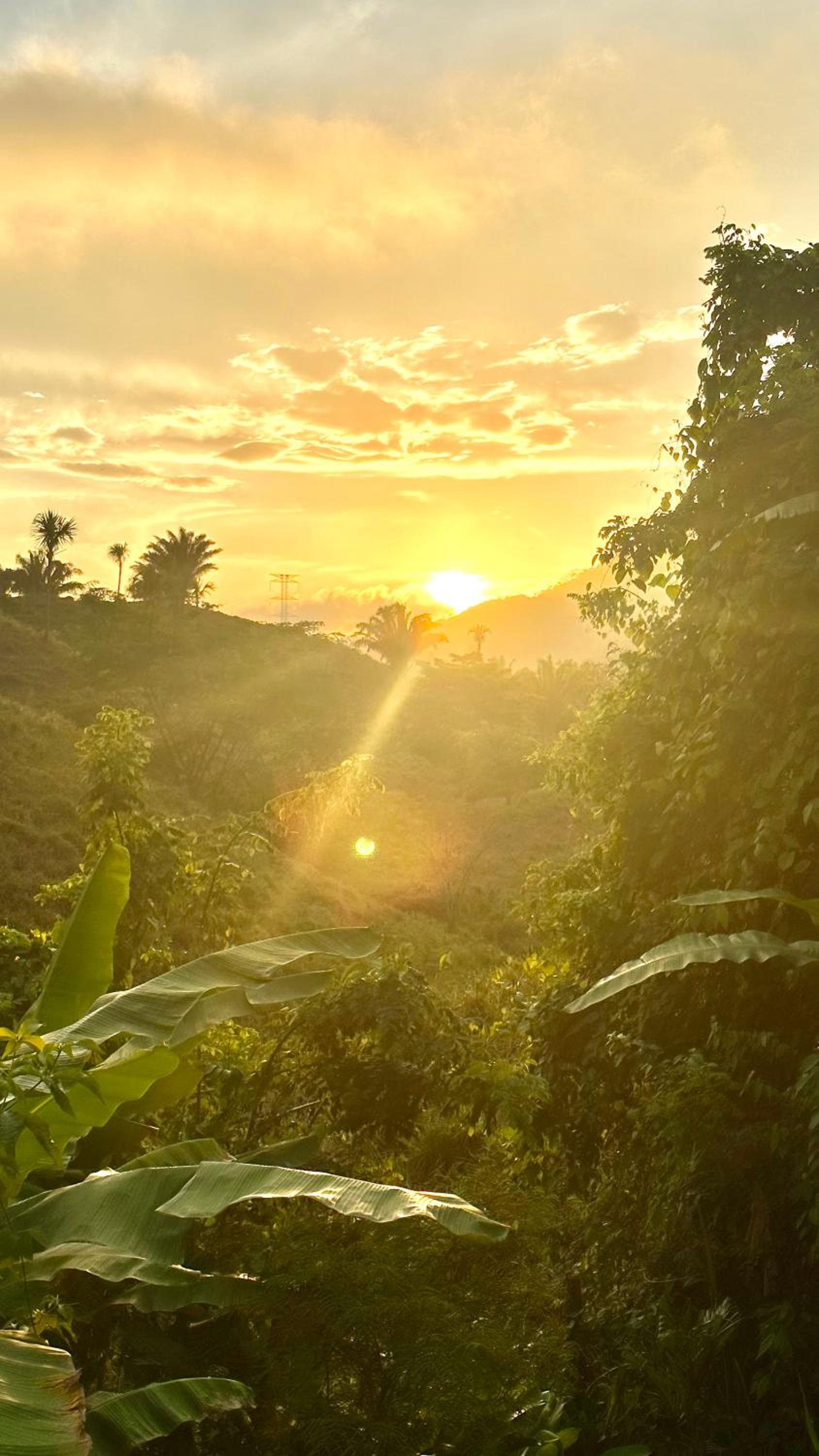 The Valley Tayrona hostel- A social jungle hostel
