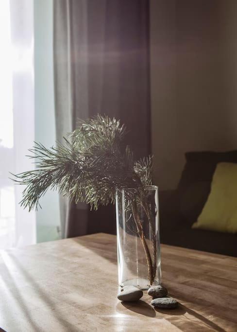Spacious cozy home and sunny terrace in Nida view 5