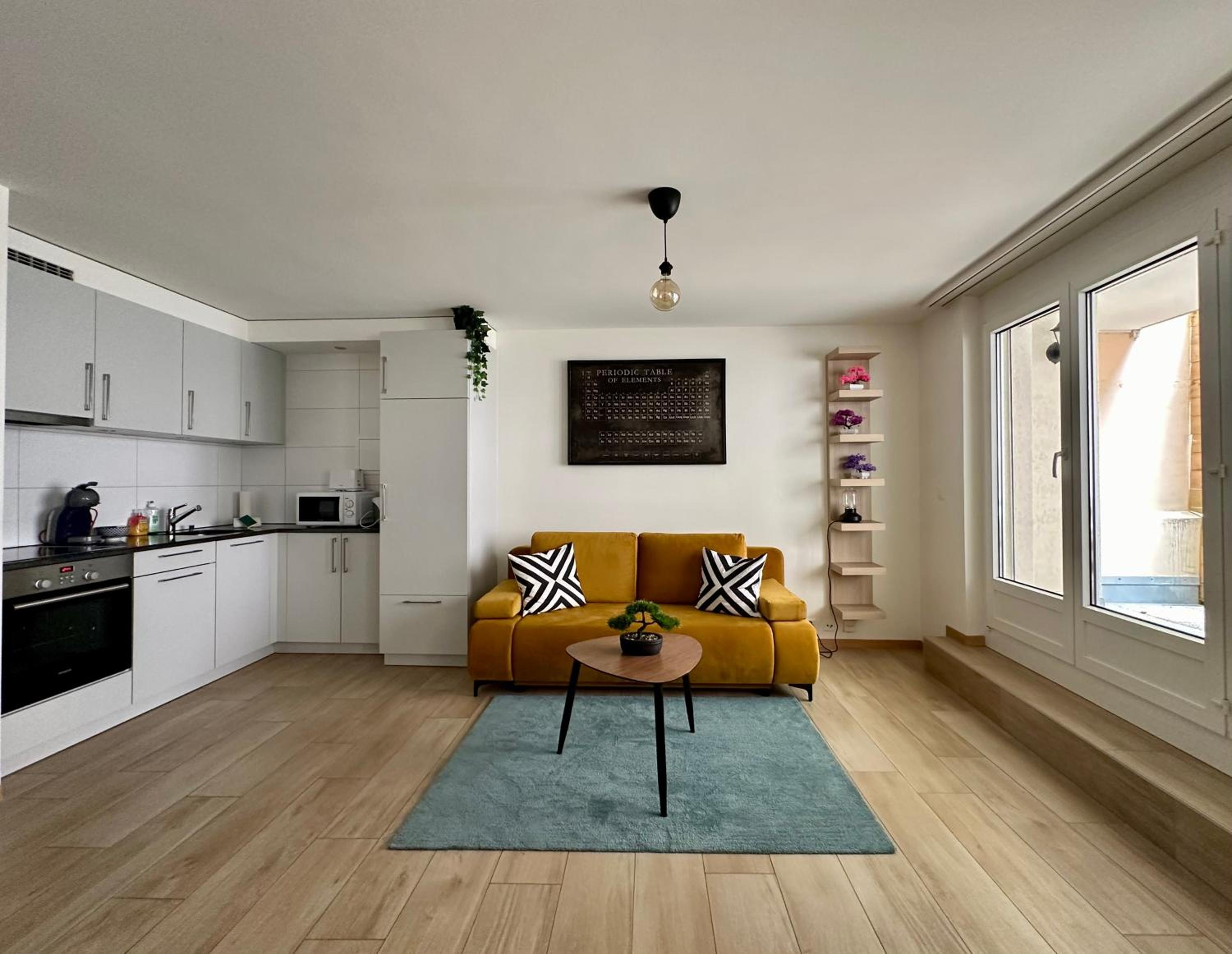 Montreux centre ville lac appartement
