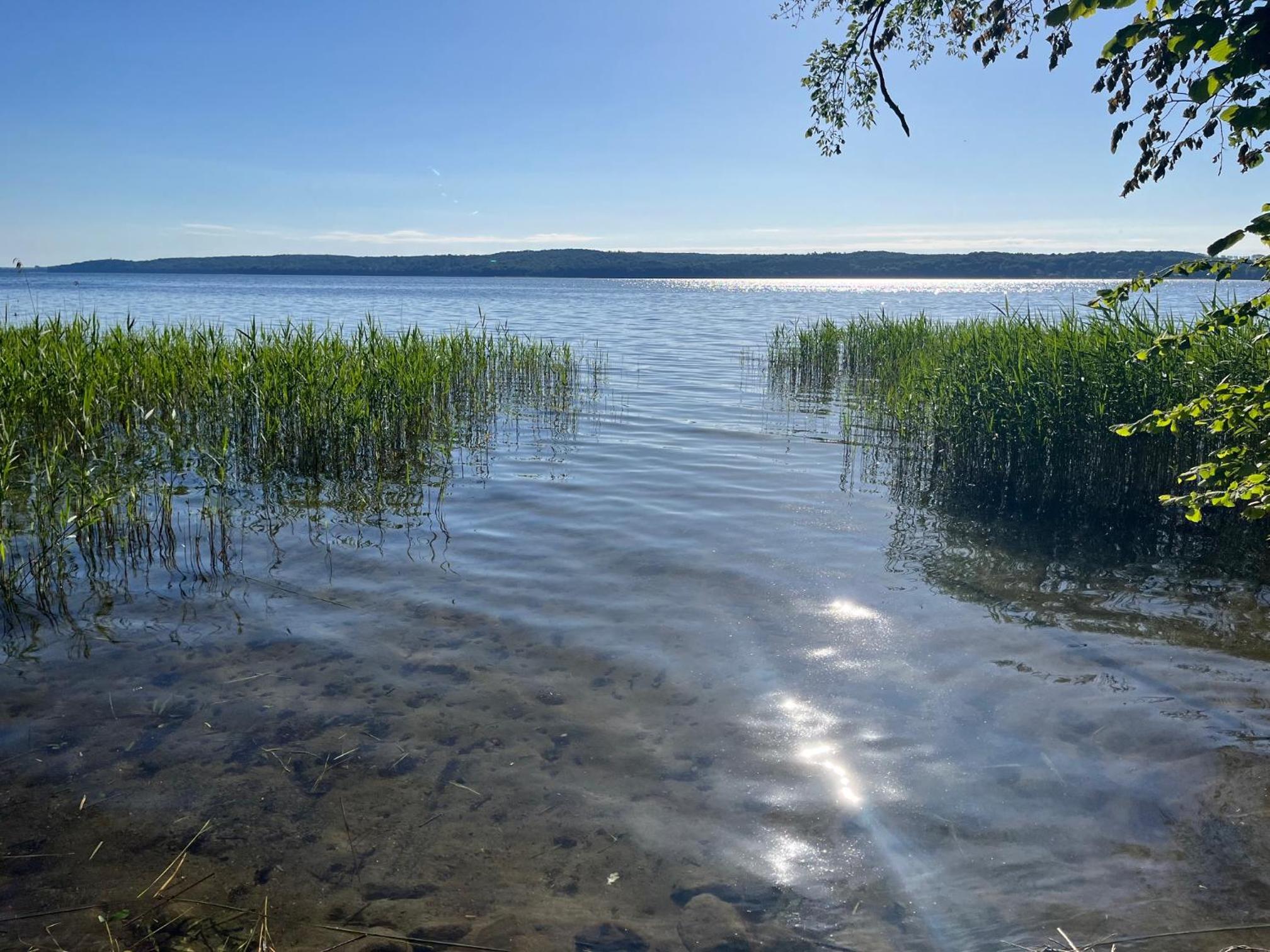 Pfarrhaus Tollensesee