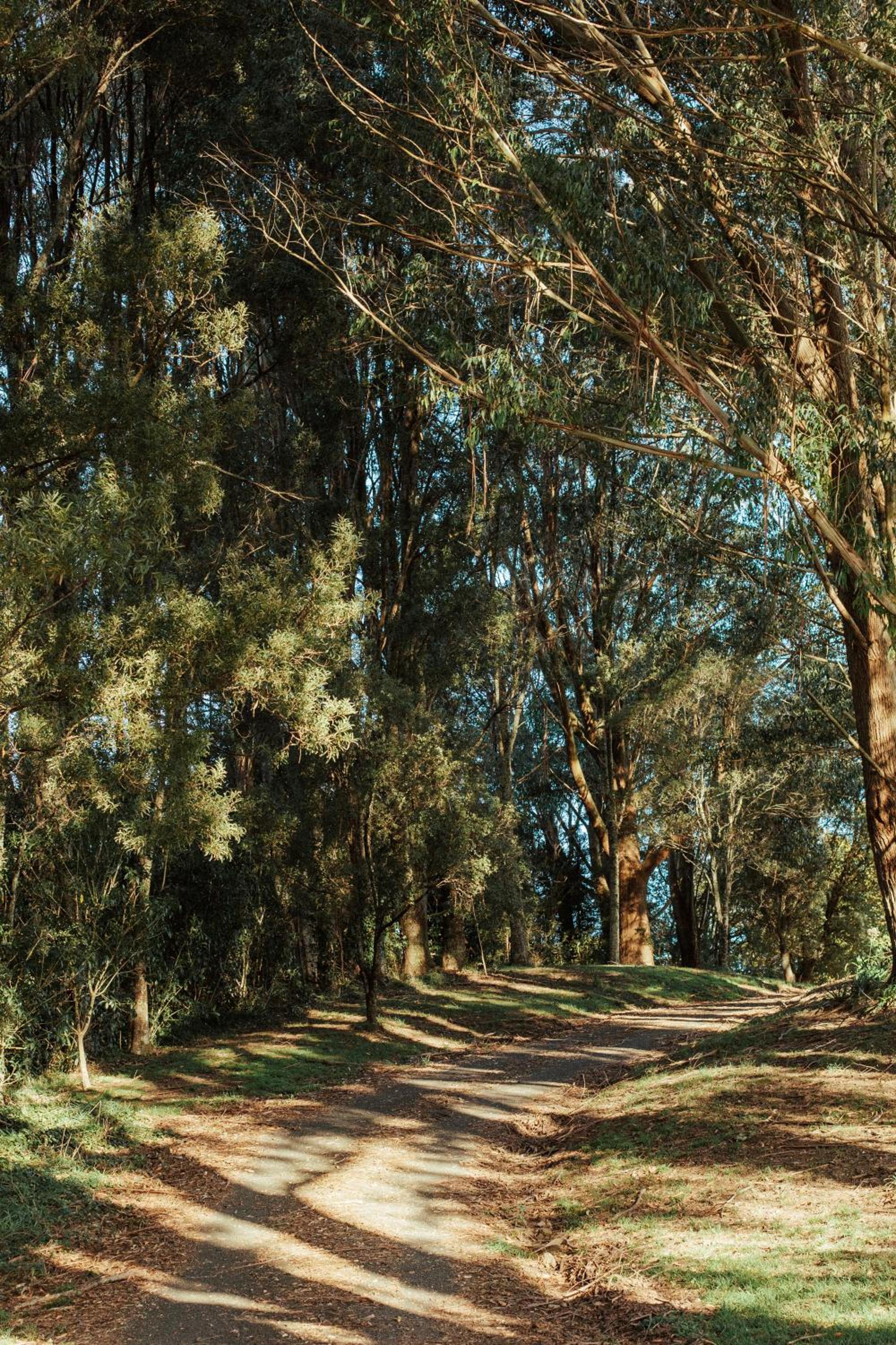 Photo 45