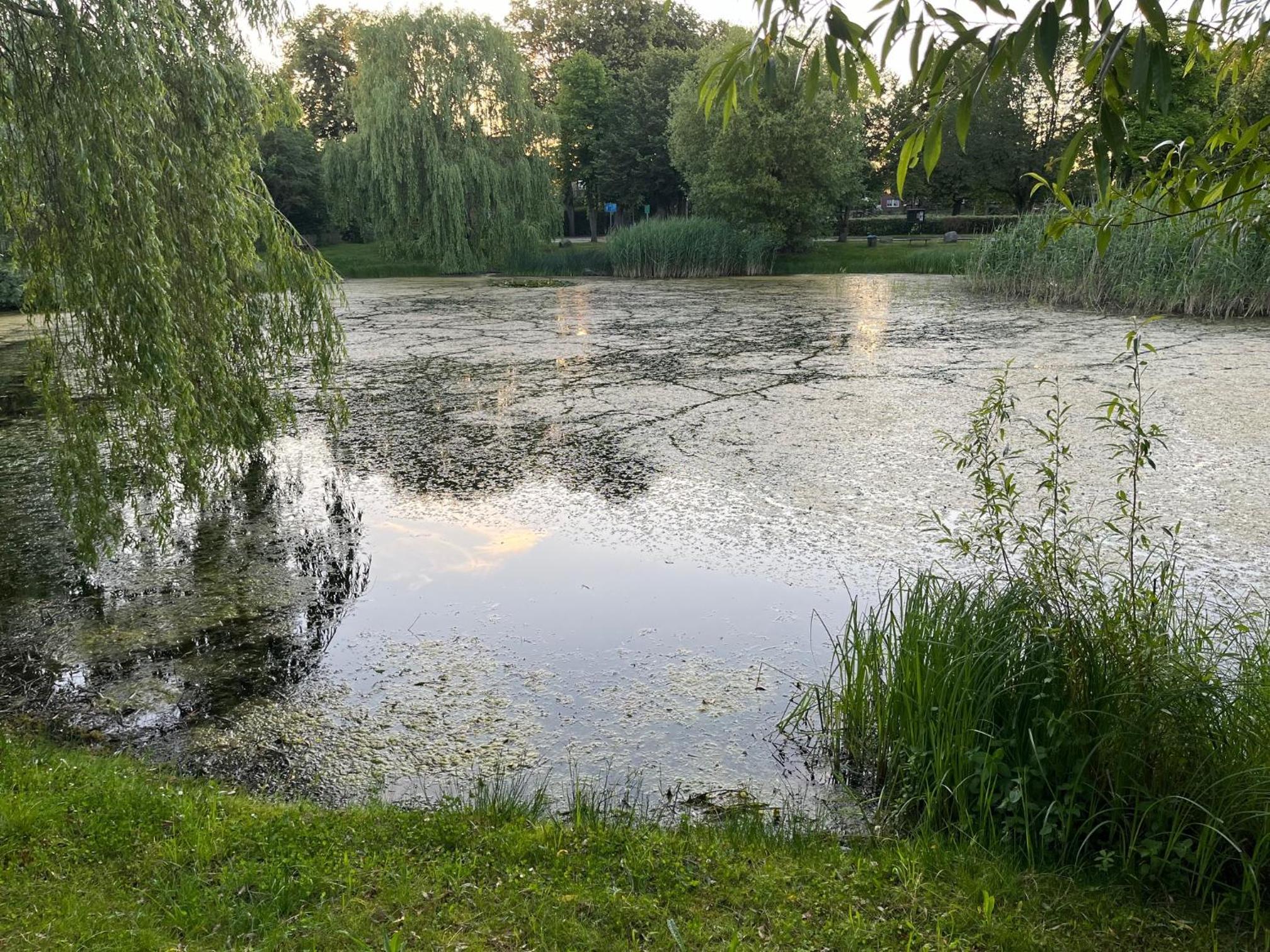 Pfarrhaus Tollensesee