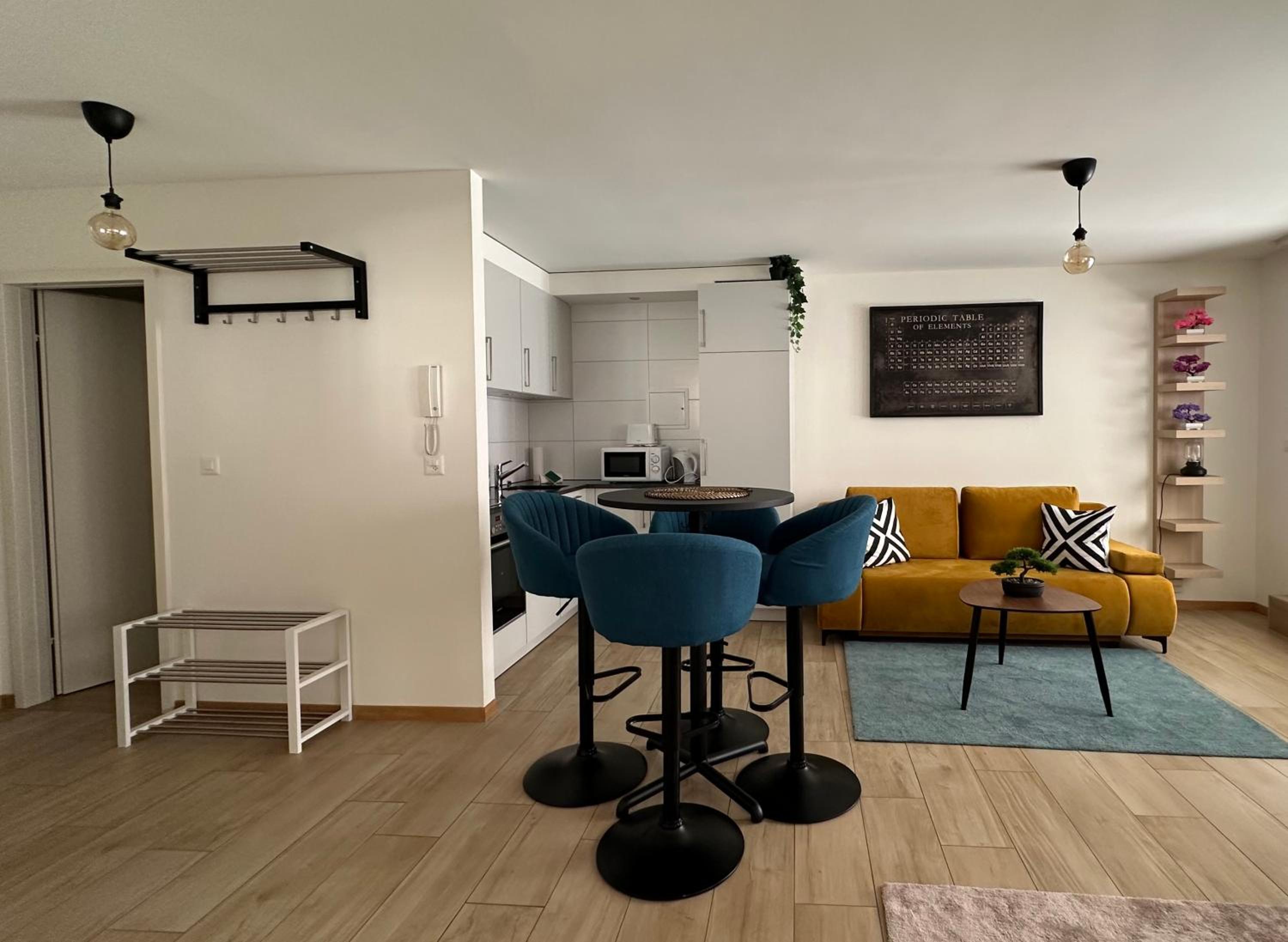 Montreux centre ville lac appartement