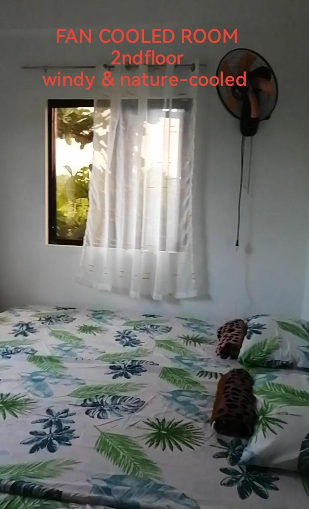 Uncle Bob&Tere Beachfront House view 3
