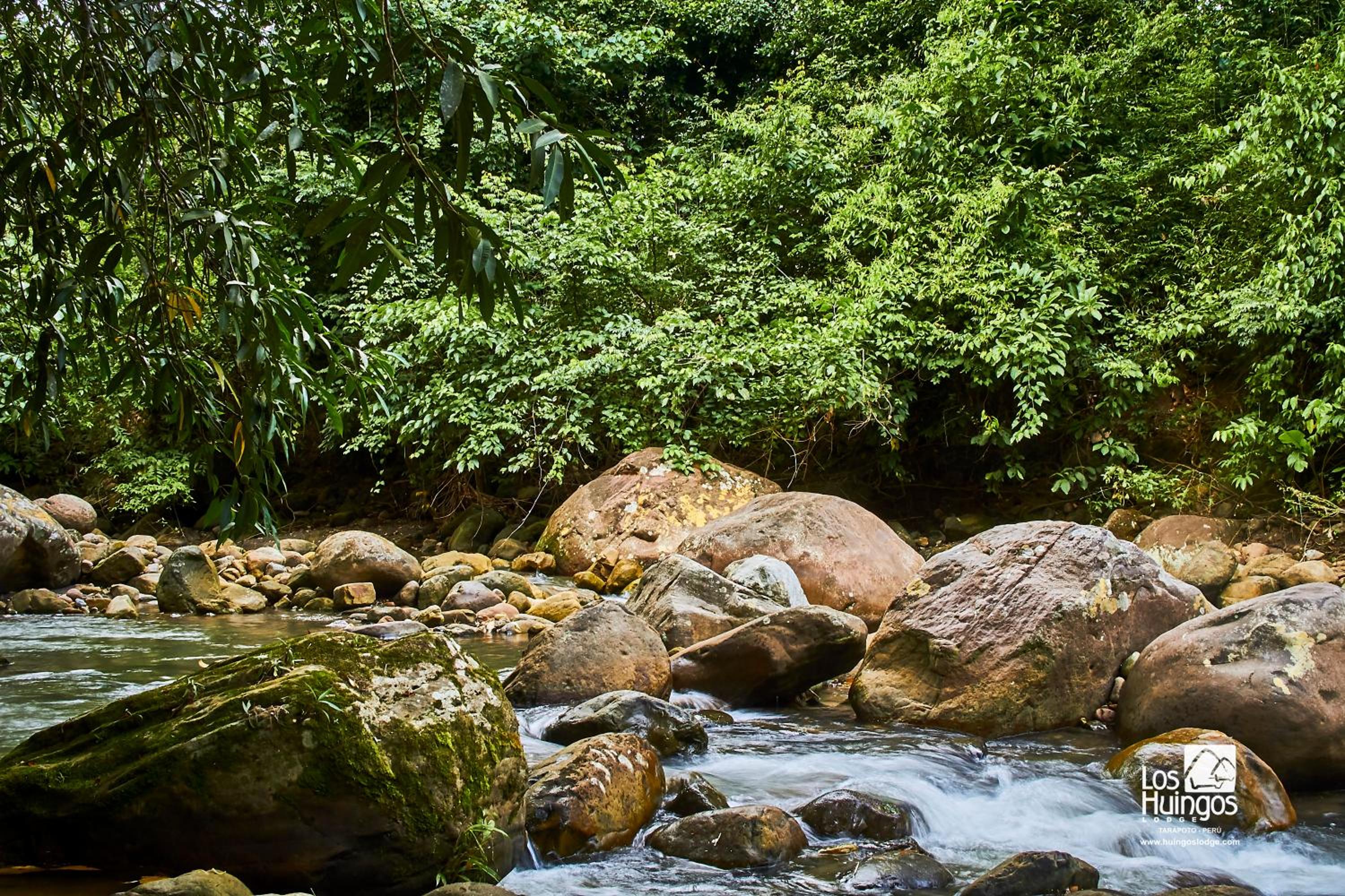 Huingos Eco Lodge