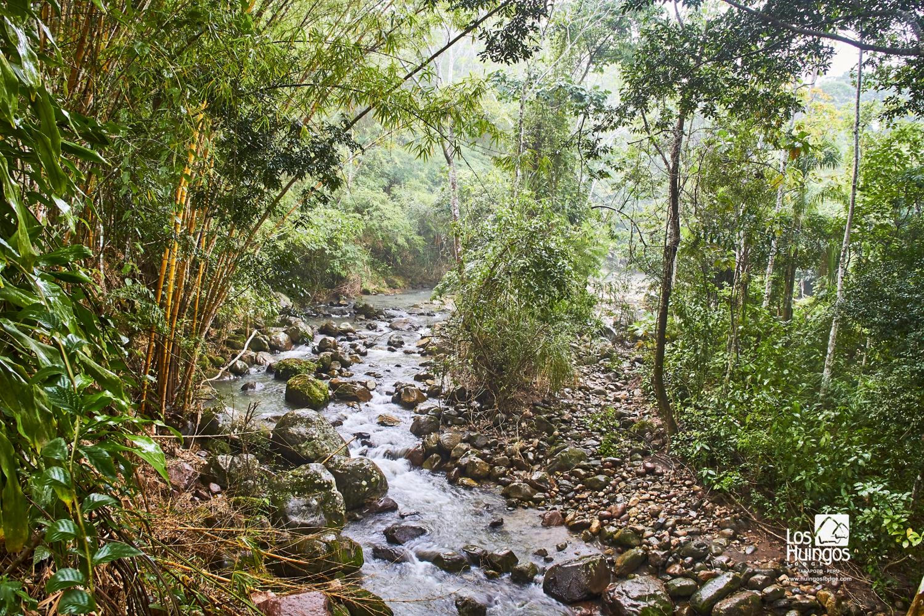 Huingos Eco Lodge