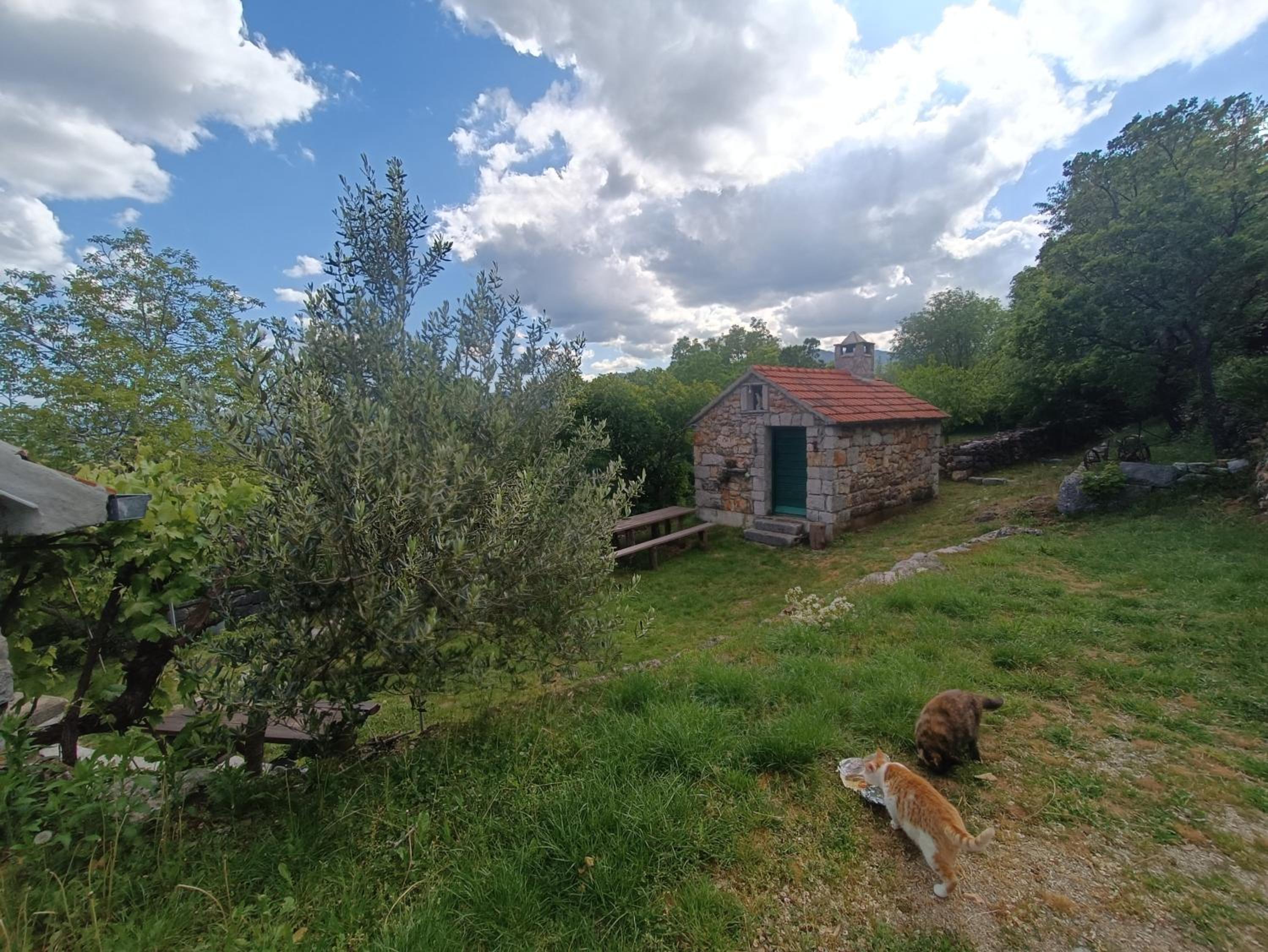 Kuća za odmor Milica view 2