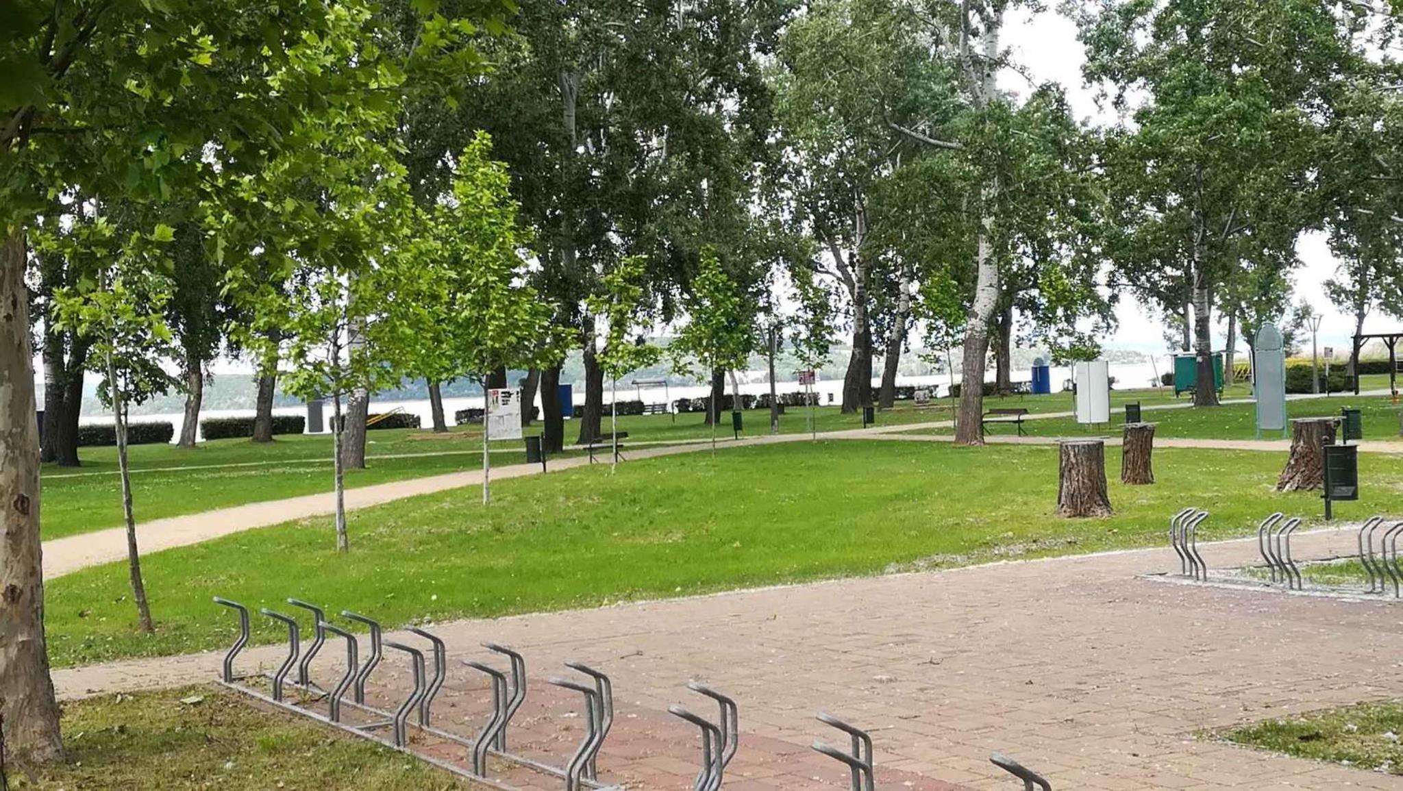 Studios near Beach in Balatonfoeldvar 18525 view 3