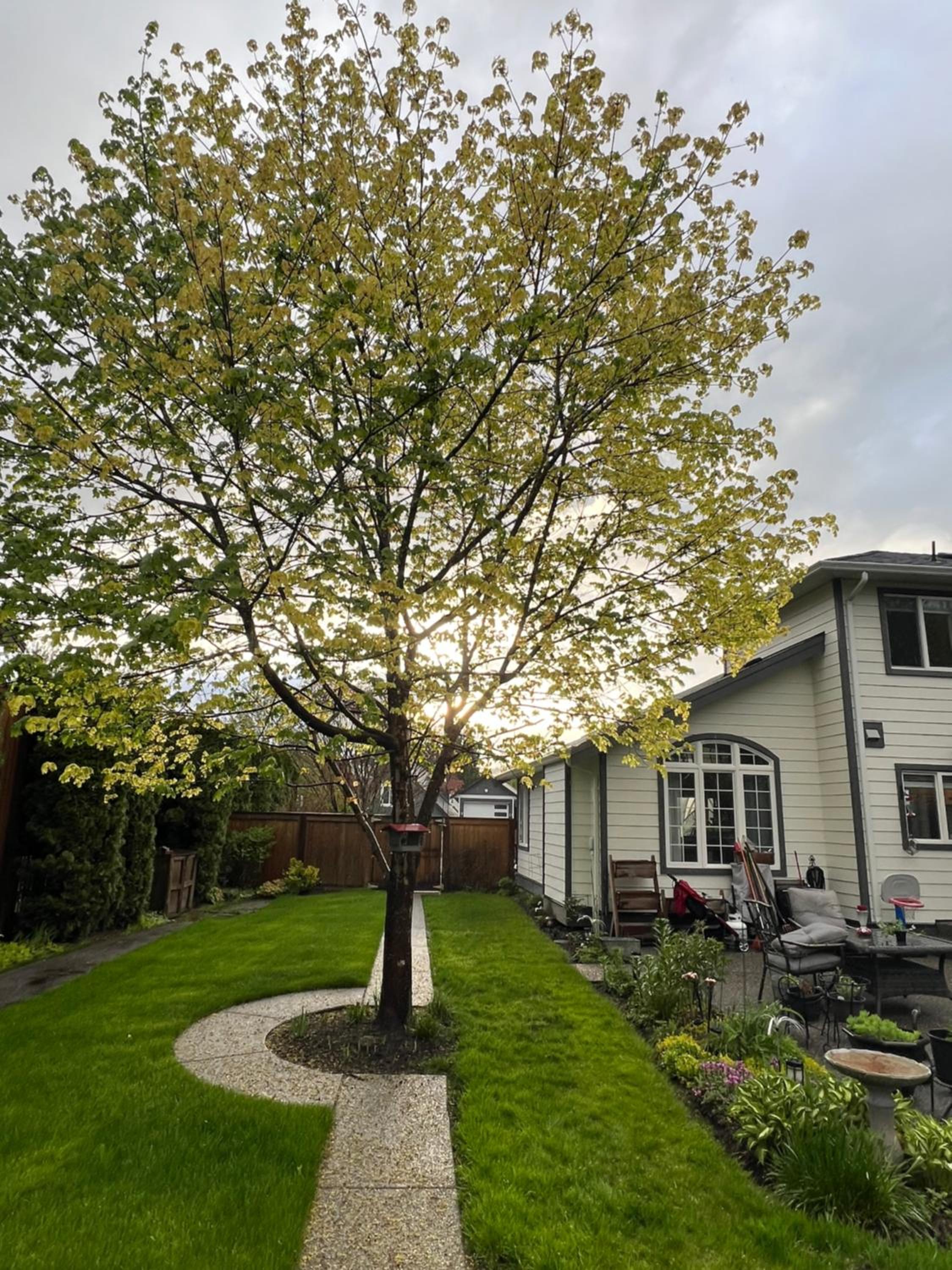 WHITEWATER COTTAGE
