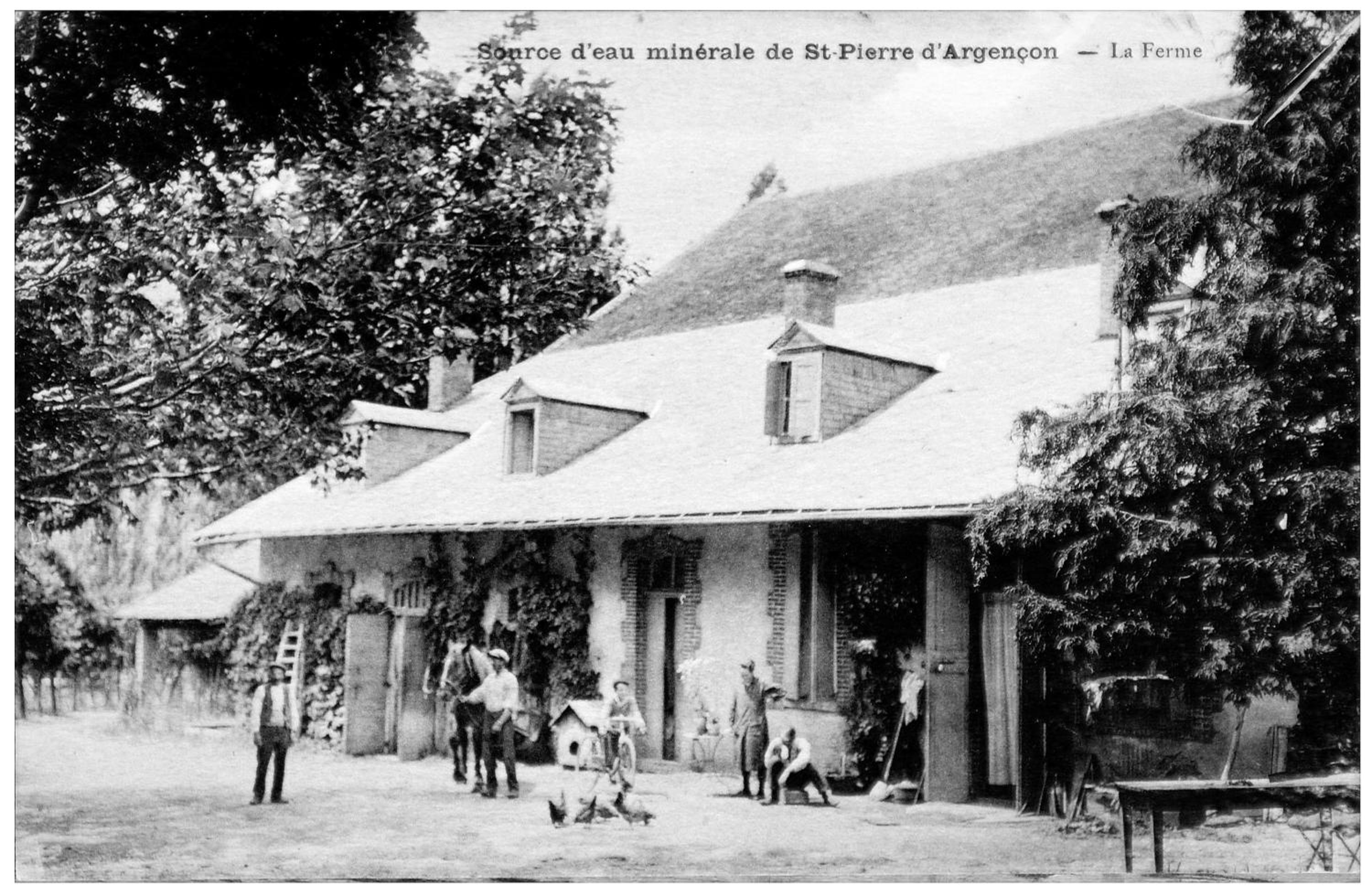 Photo 22