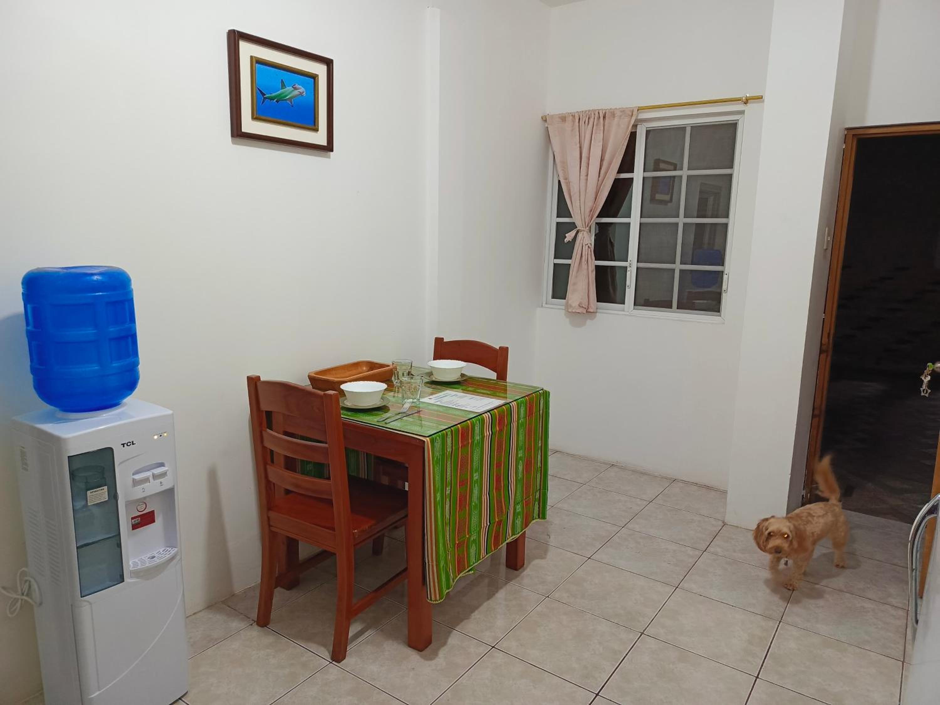 Teresita's House suites 1 con cocina privada view 3