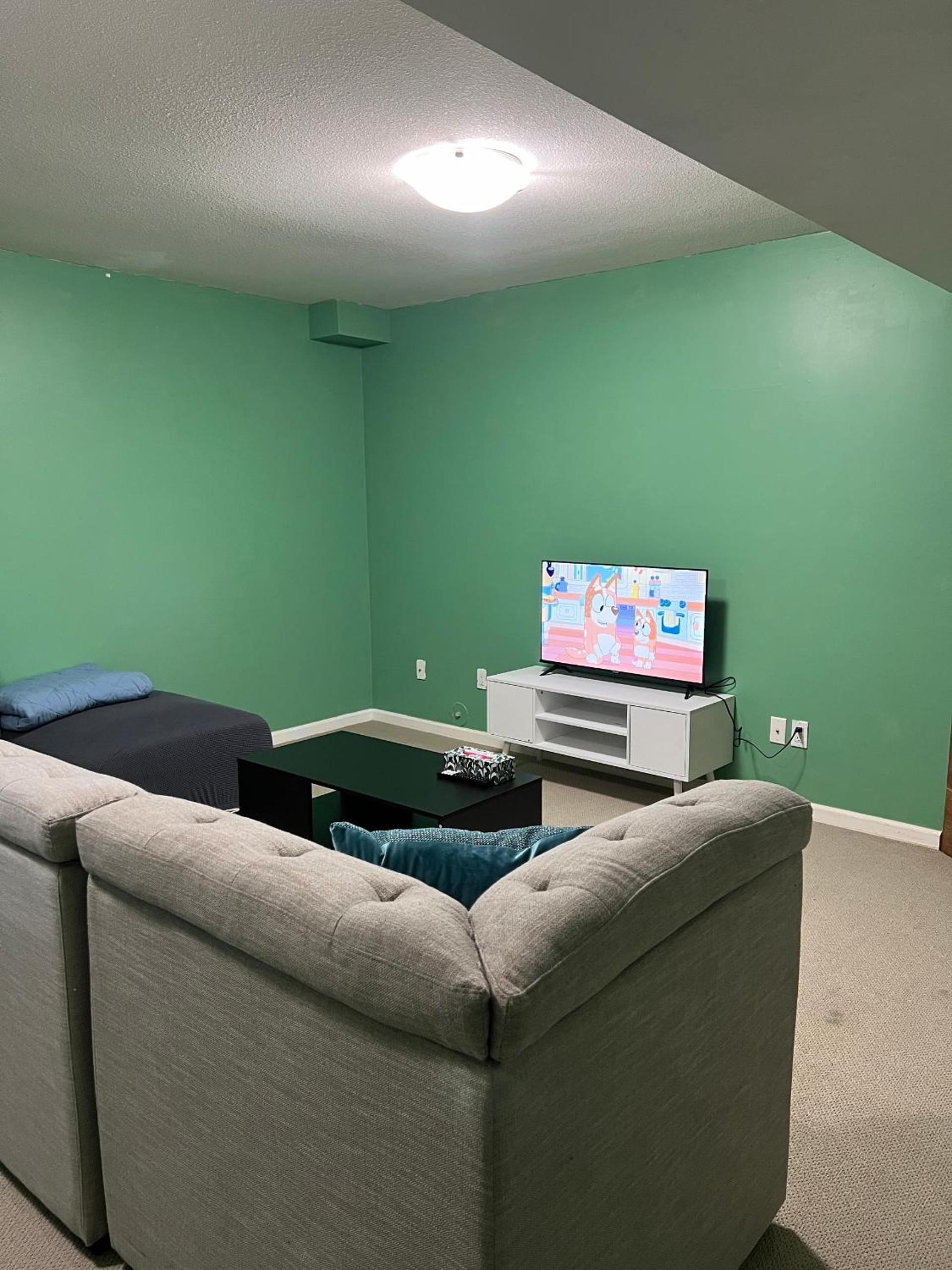 Private basement suite