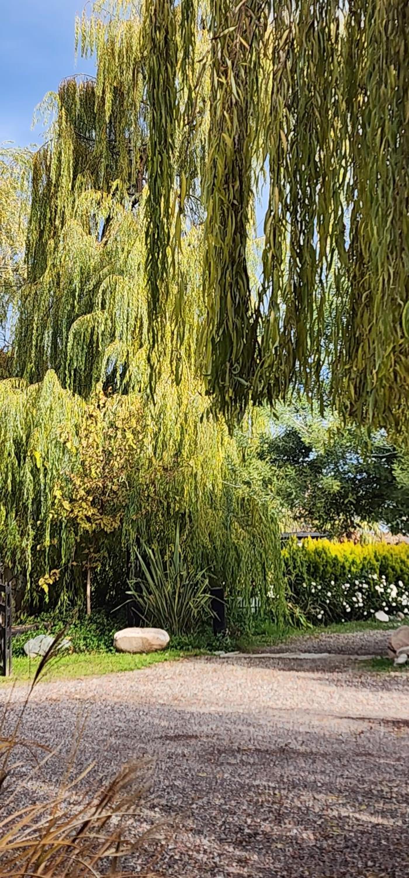 Finca La Puebla