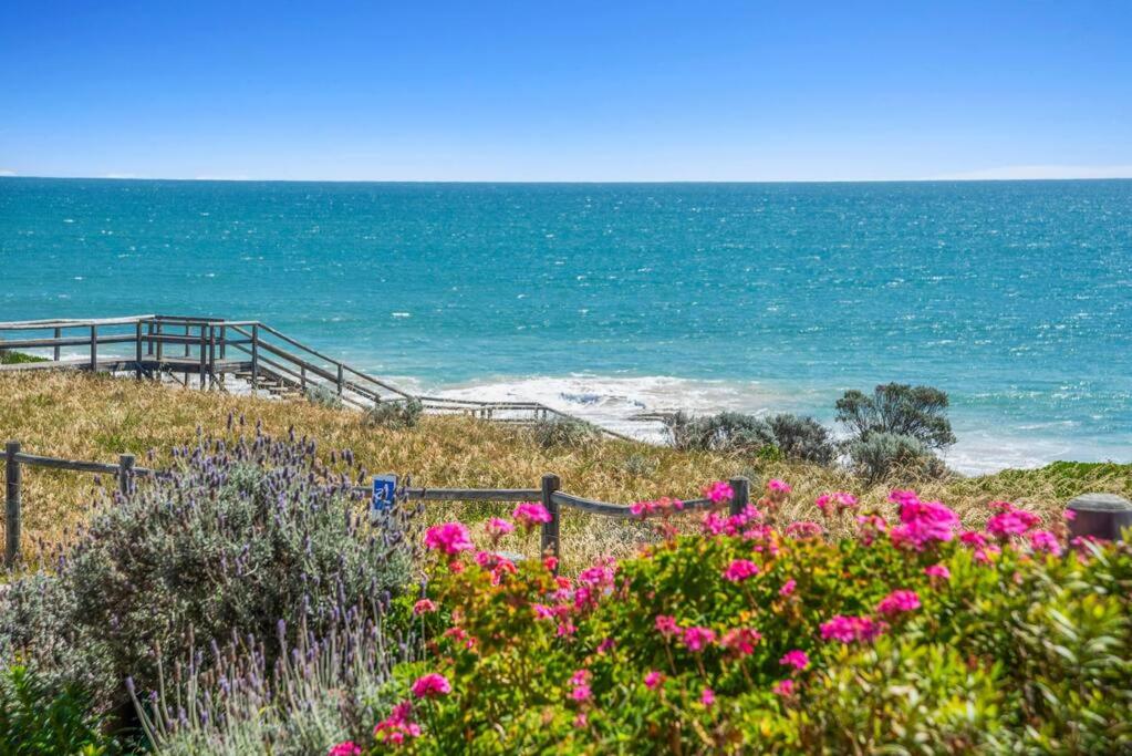 Absolute Oceanfront Escape