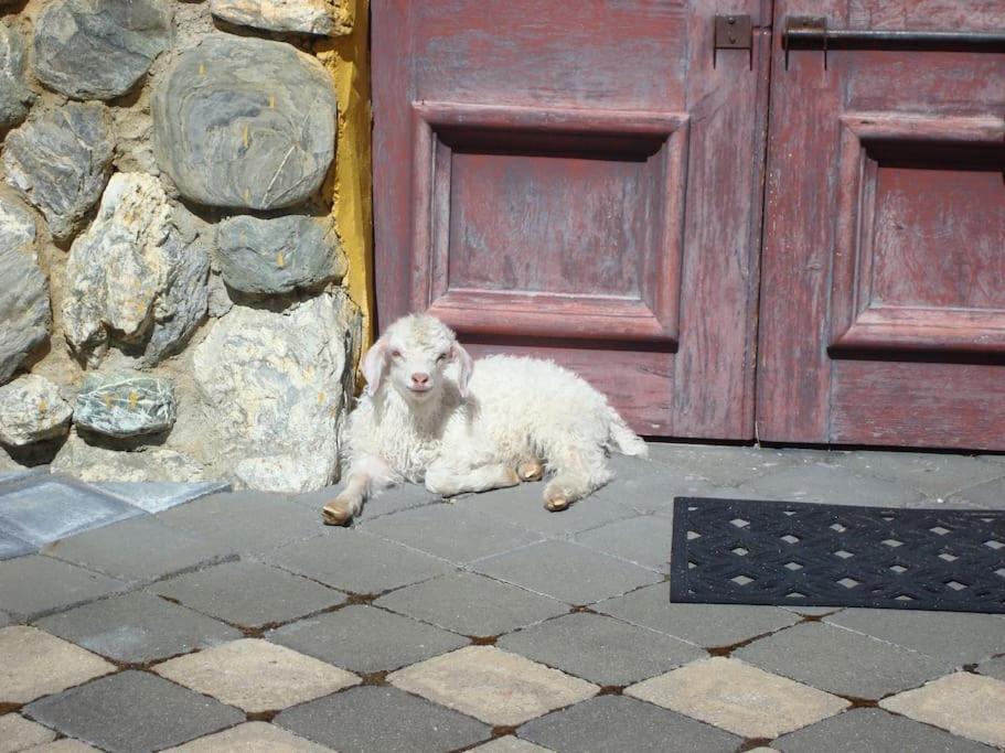 Photo 22