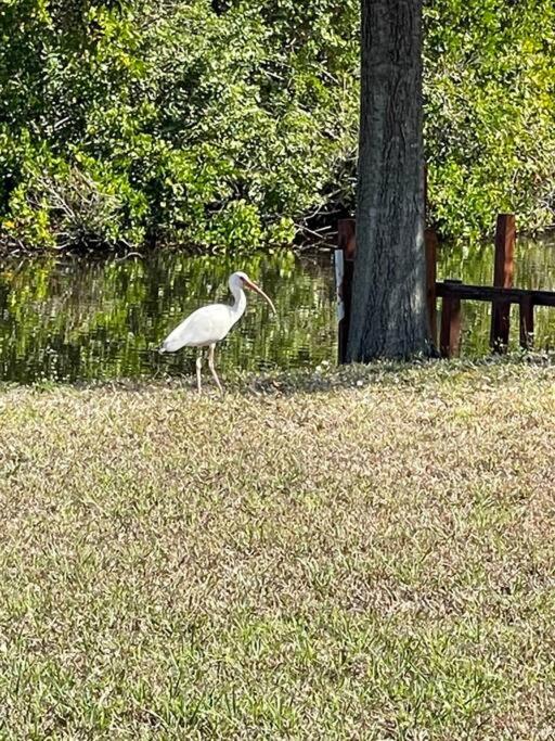 other