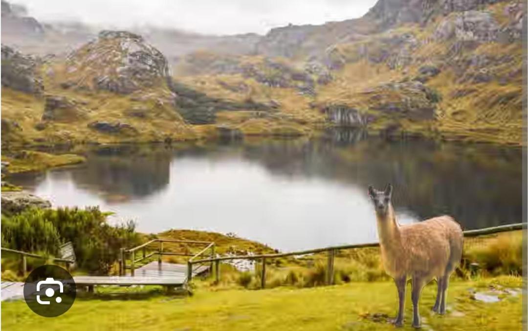 Parque Nacional El Cajas